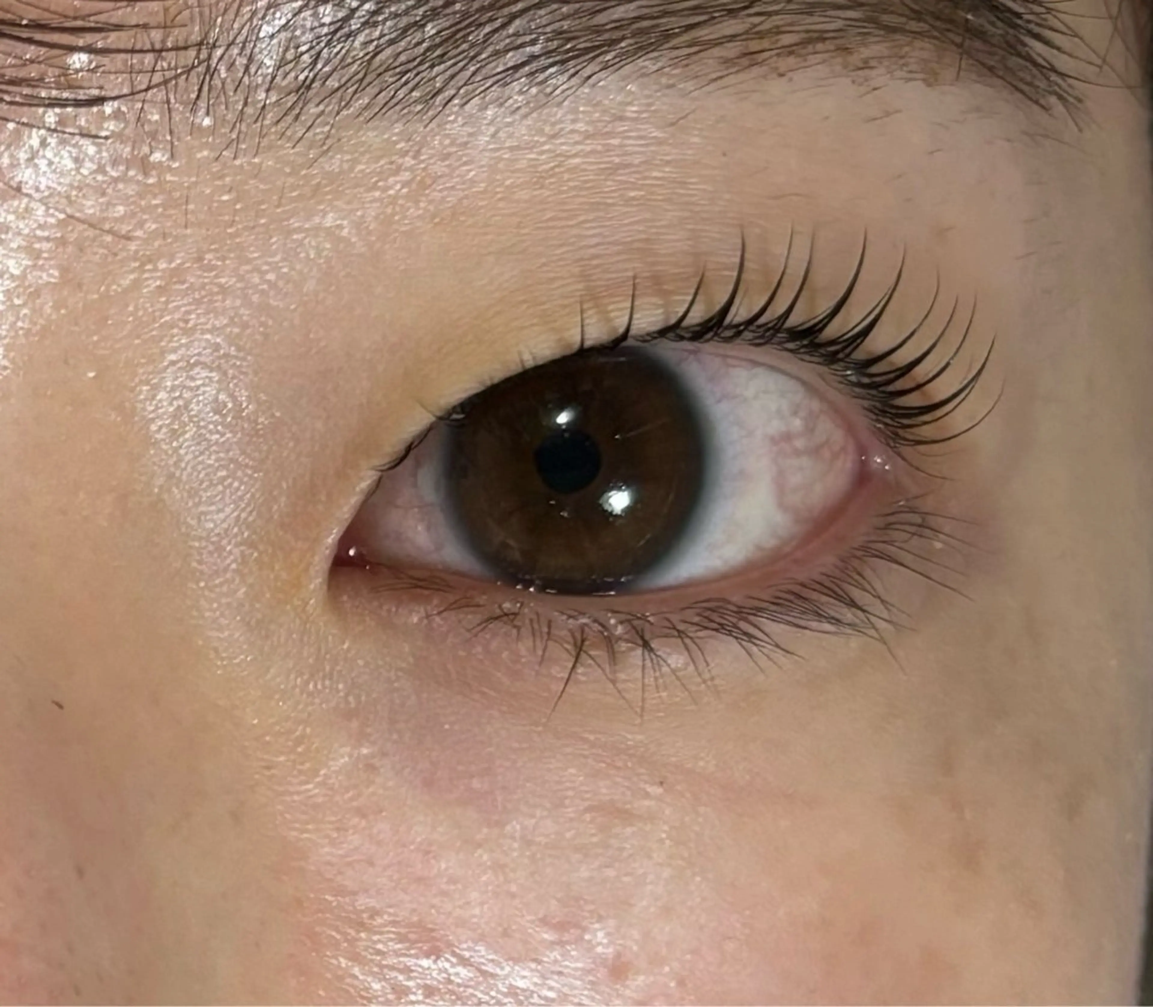 マツエク・マツパ あべ⠀しほ * 無料モデル募集中の眉毛・アイブロウイメージ