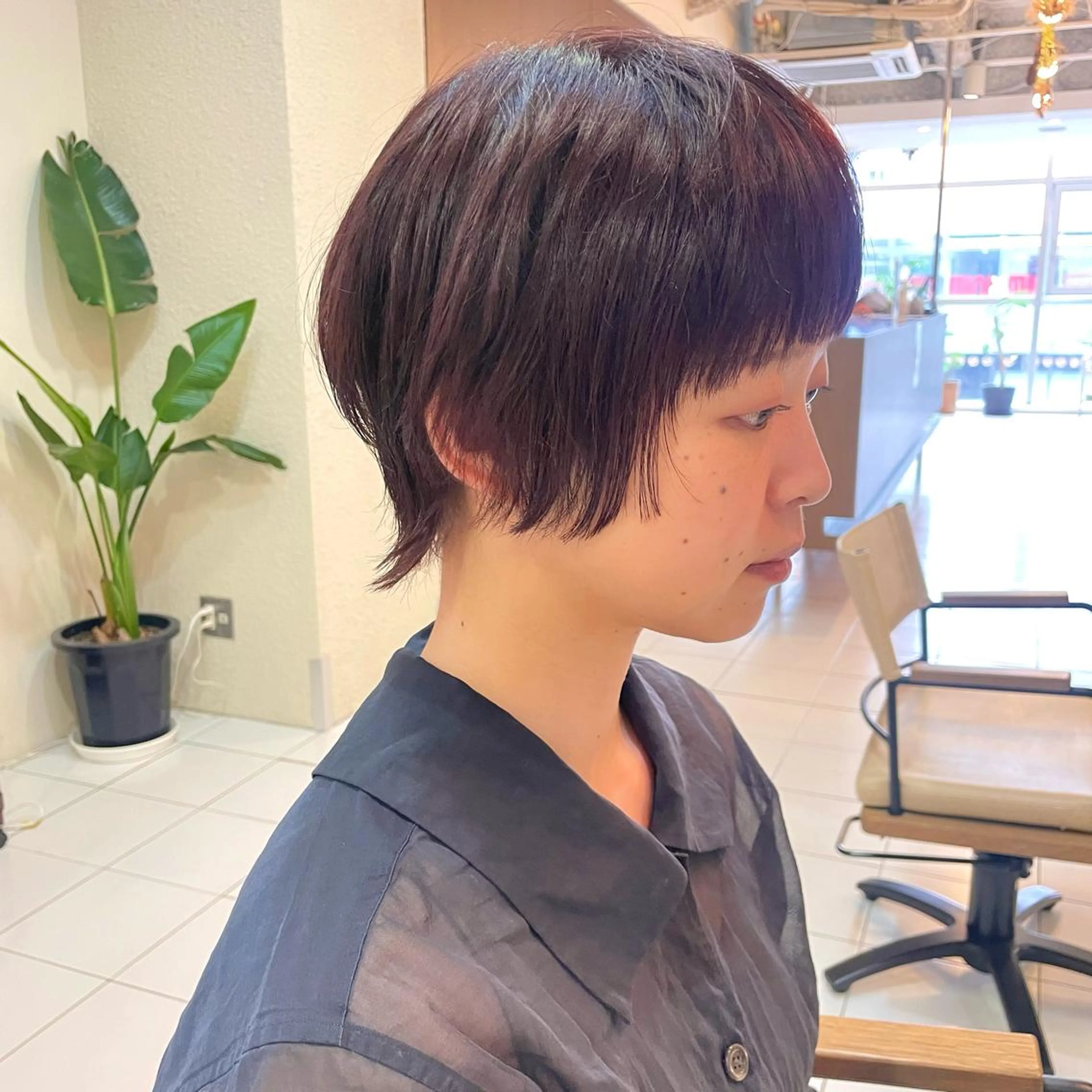 ショート カラー ブラウンカラー レッドカラー レッドブラウン ウルフカット 透明感カラー/ 寺田千雅子のヘアスタイル