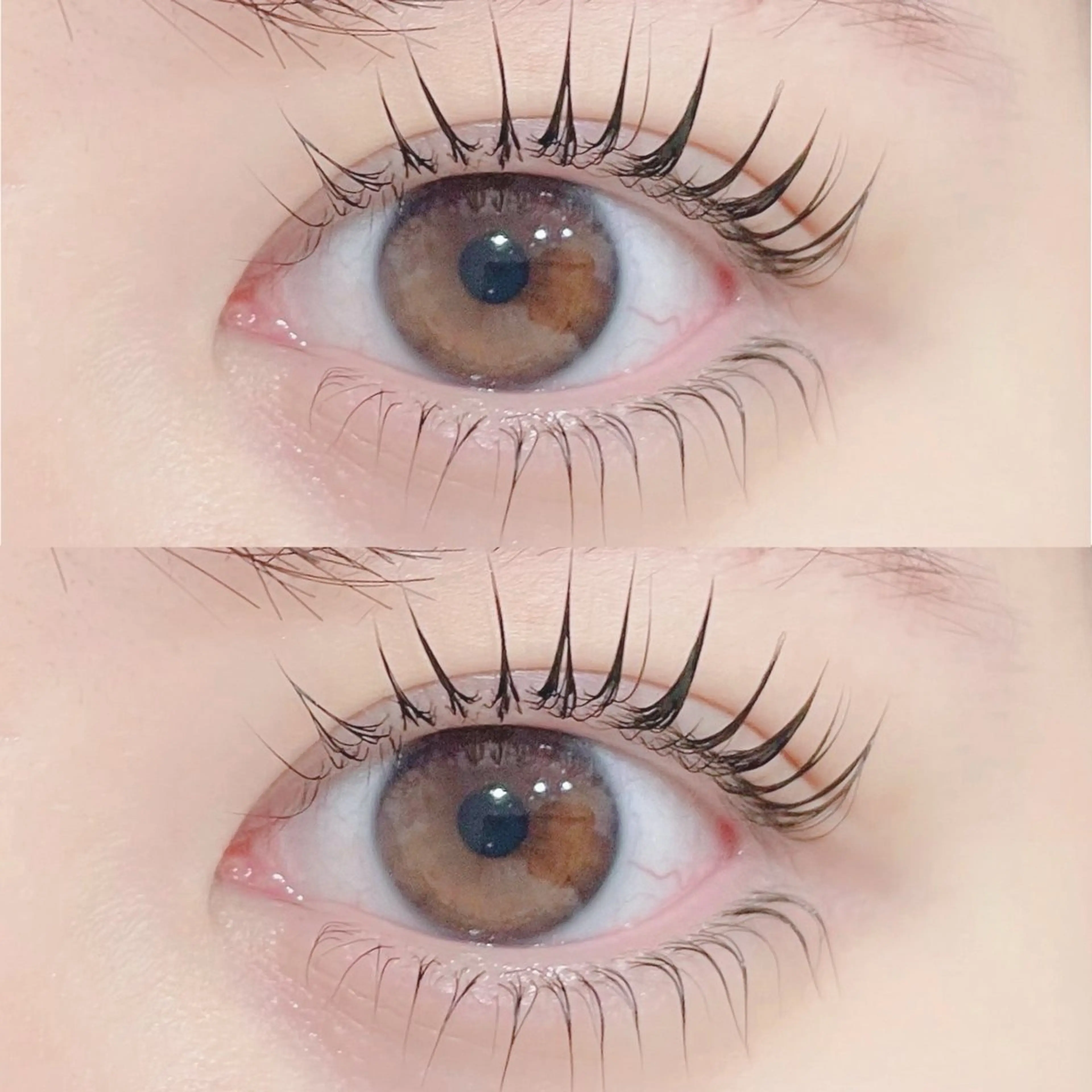 💫上下パリジェンヌラッシュリフト💫 《コーティング仕上げサービス》の写真