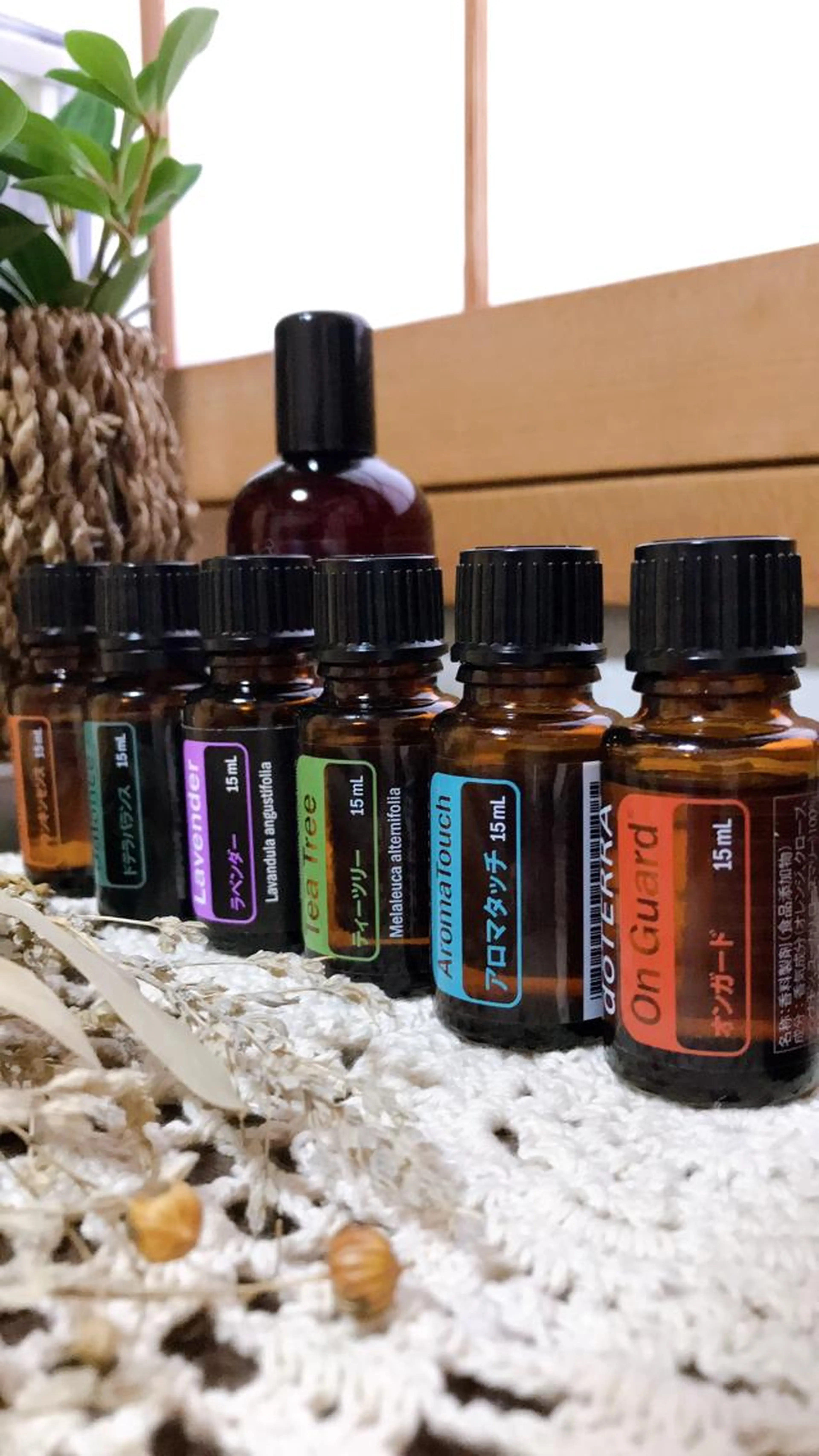 【ストレス、免疫、自律神経にアプローチ】美心脳アロマ®︎ハートボディートリートメント45分の写真