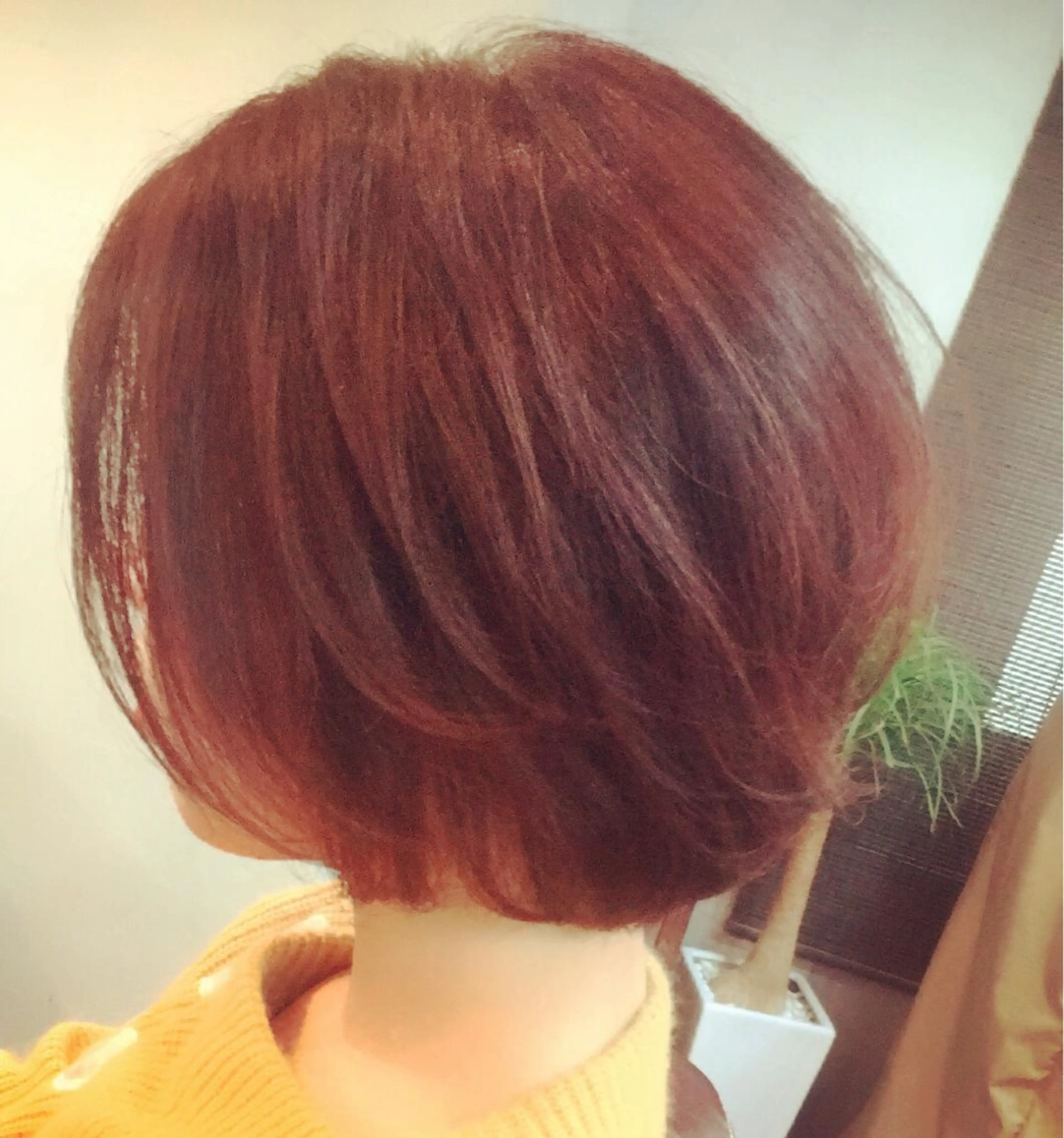 ショート カラー カット ヘアカラー トリートメント 横川 貴勲のヘアスタイル