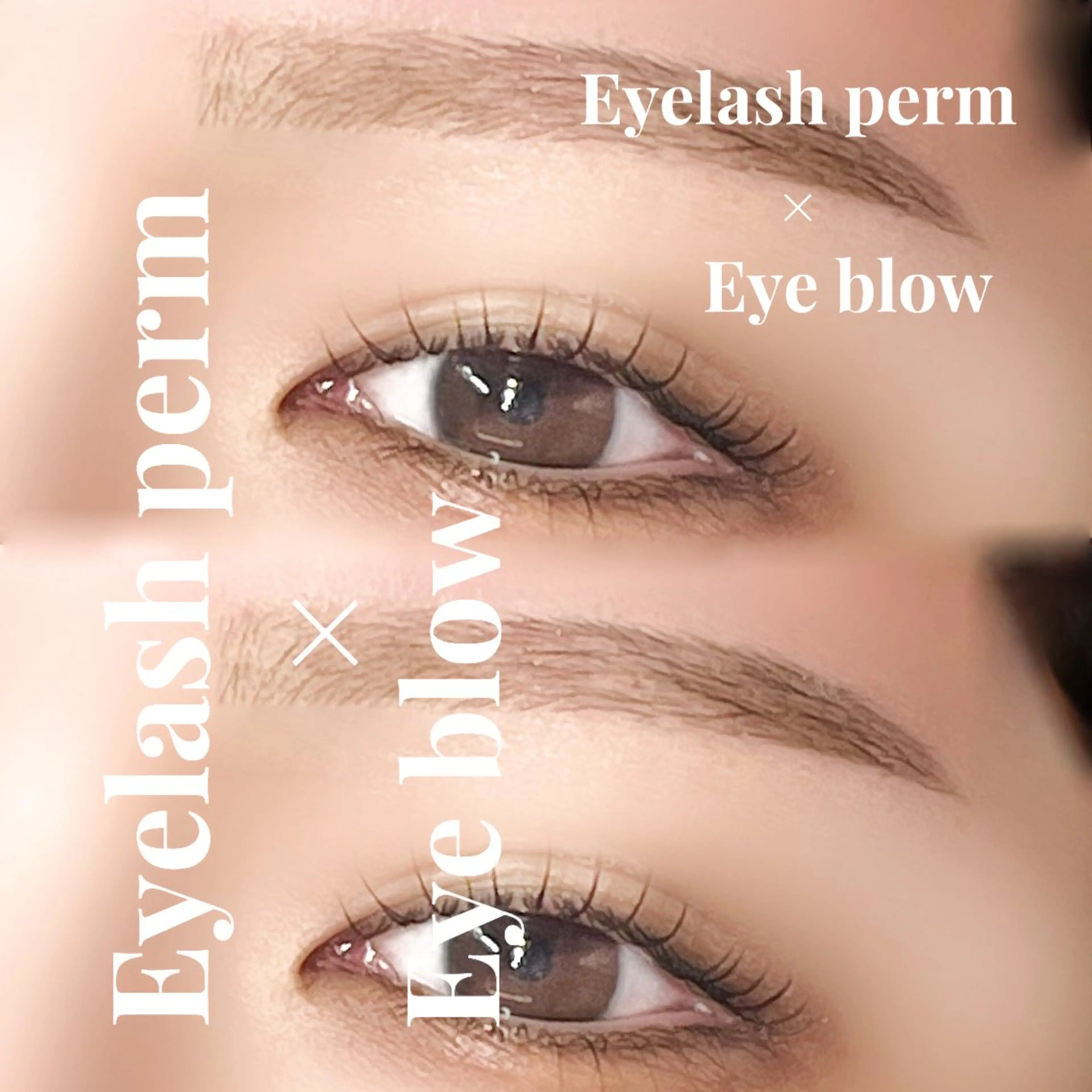 🎀上まつ毛パーマ・パーソナル美眉スタイリングの写真