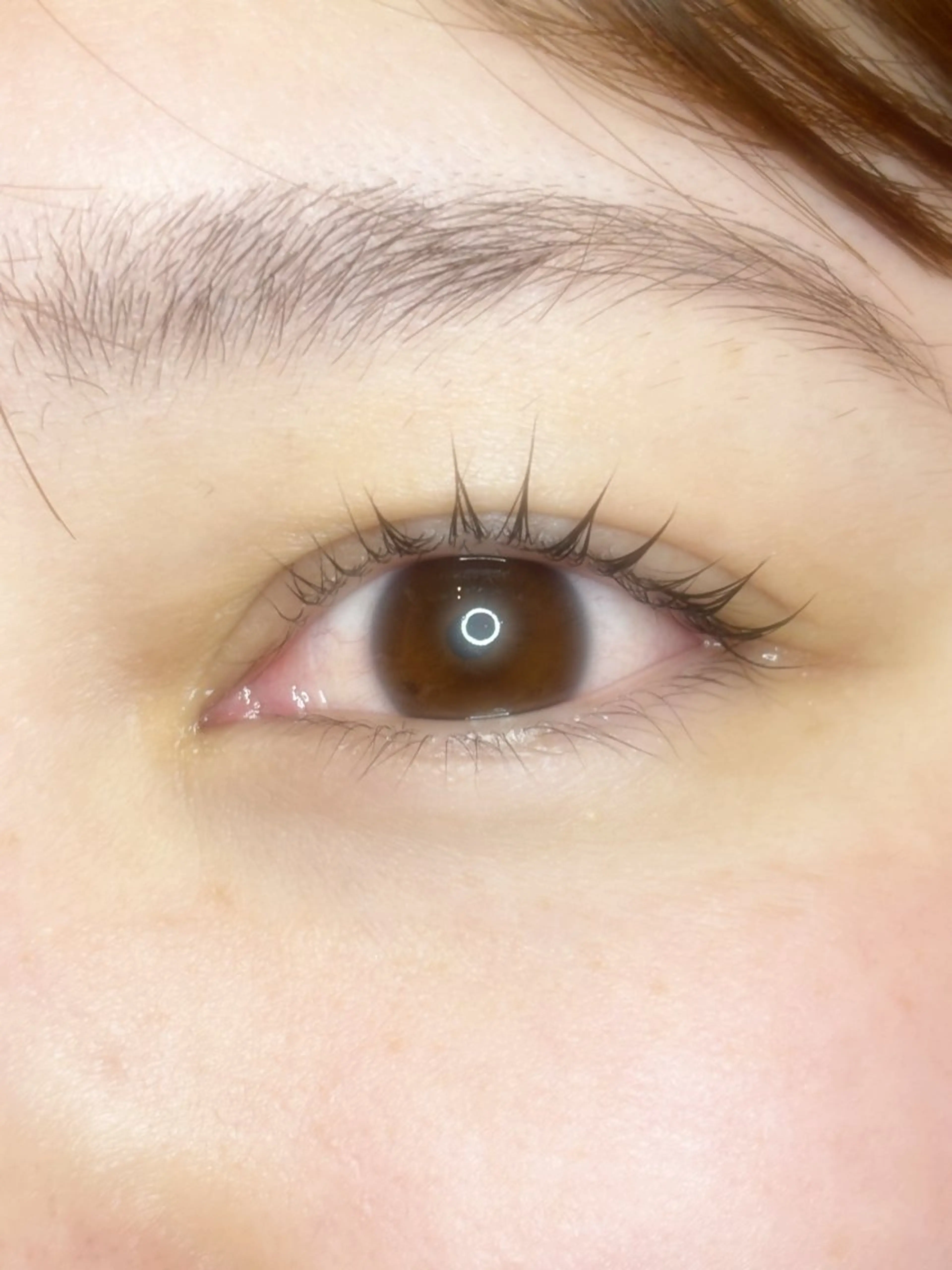 ドーリーラッシュリフトの写真