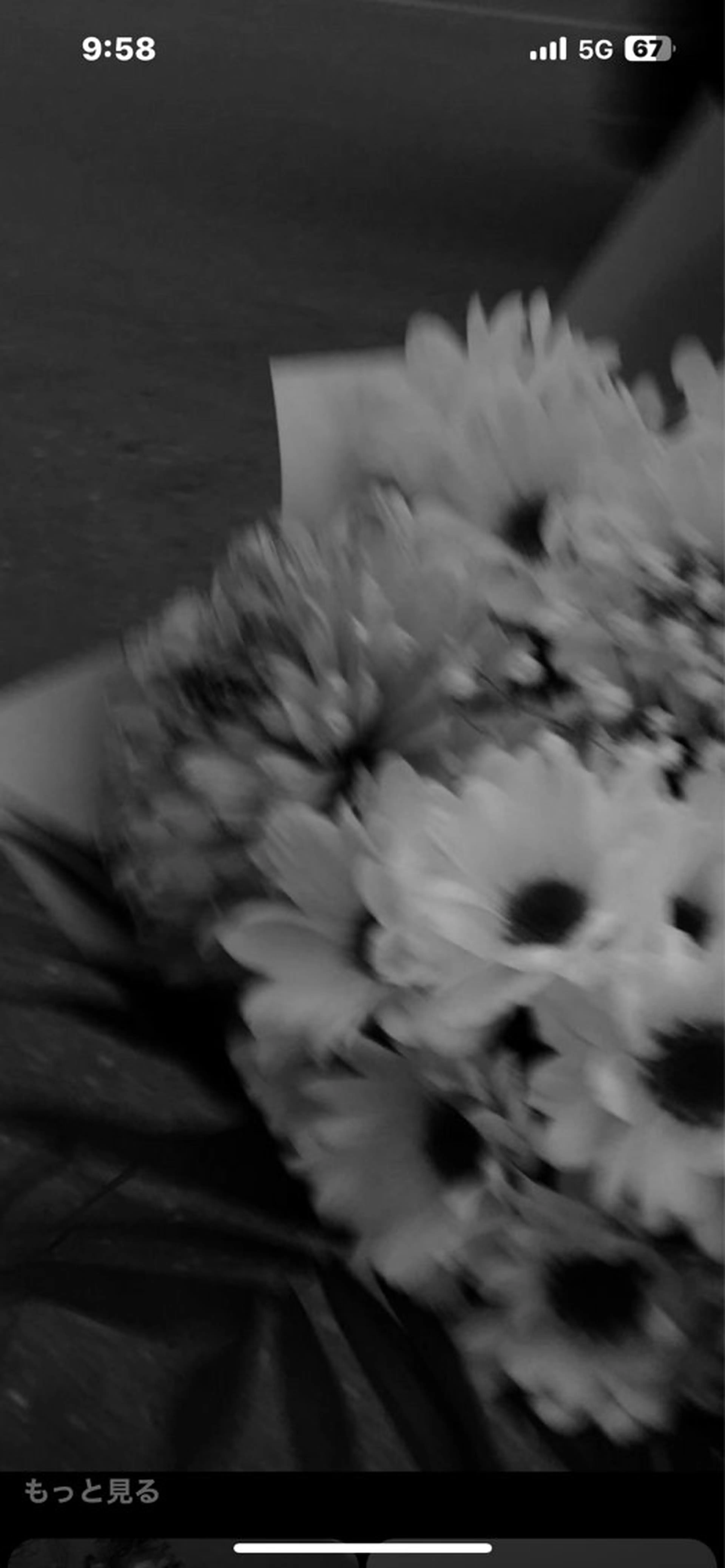 Mana ·͜·ᰔᩚのマツエク・マツパデザイン