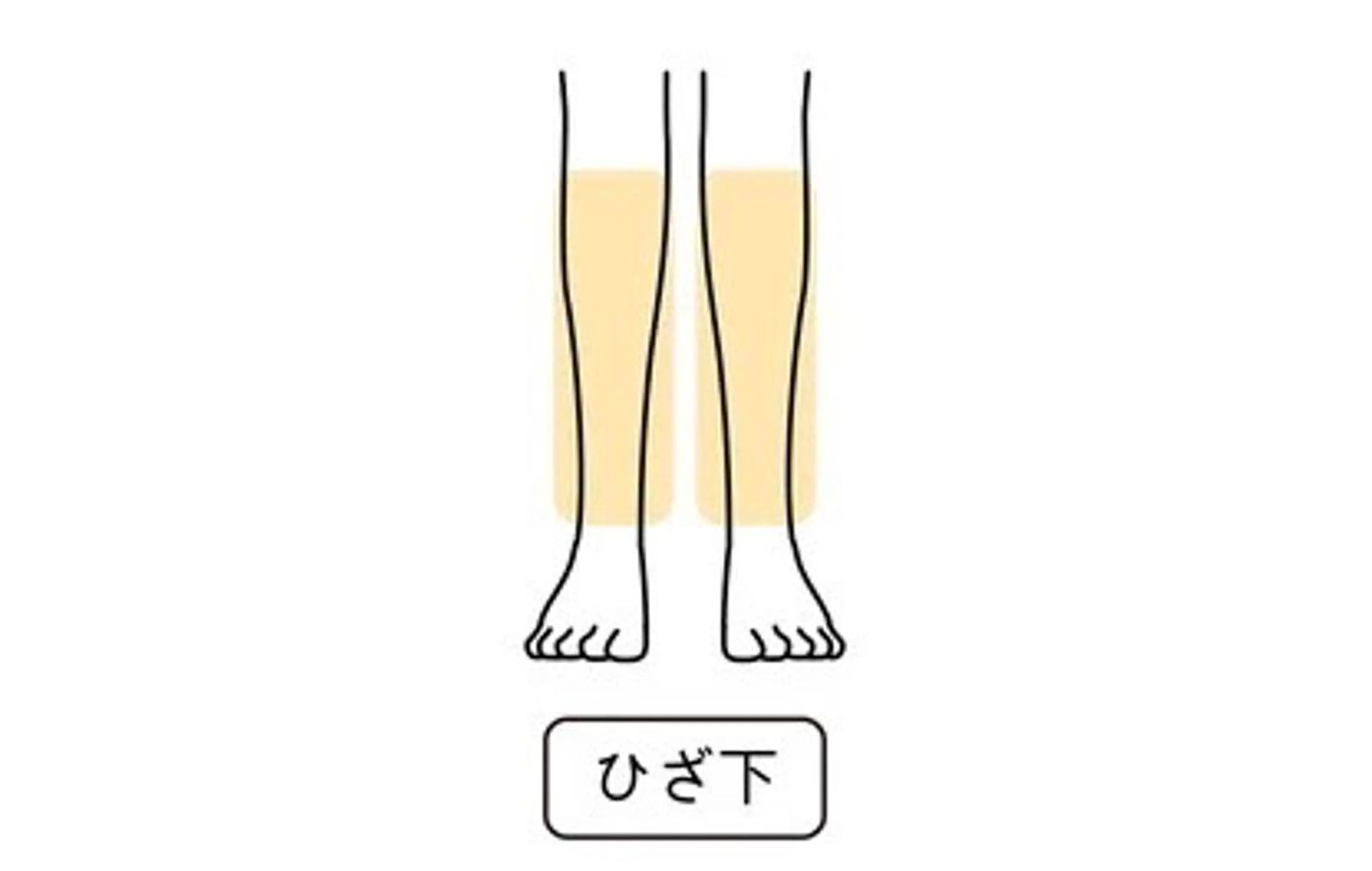 【メンズ・女性】【最新LED脱毛】両ひざ下（両面）の写真