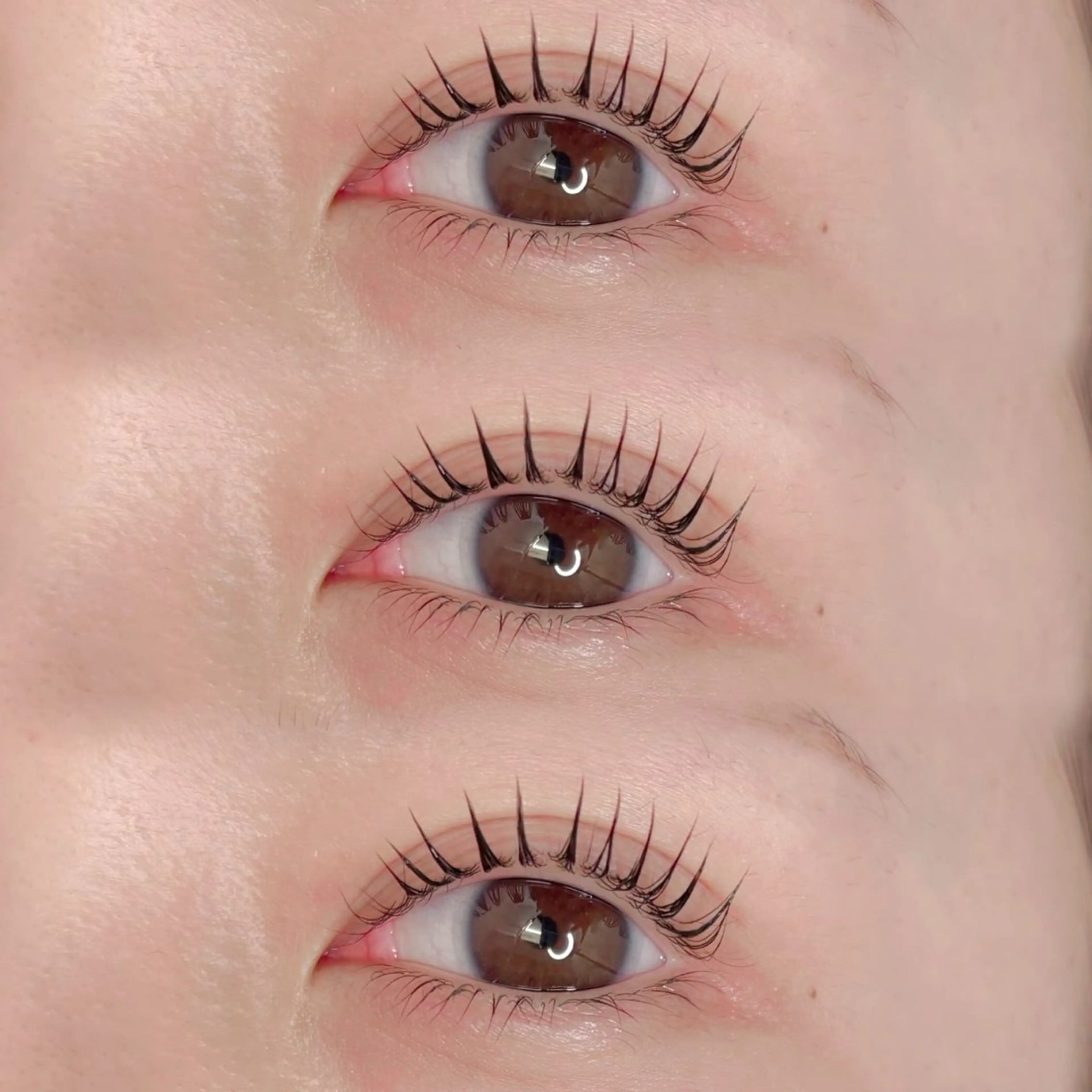 【4月限定】ビューラー式 まつげパーマの写真