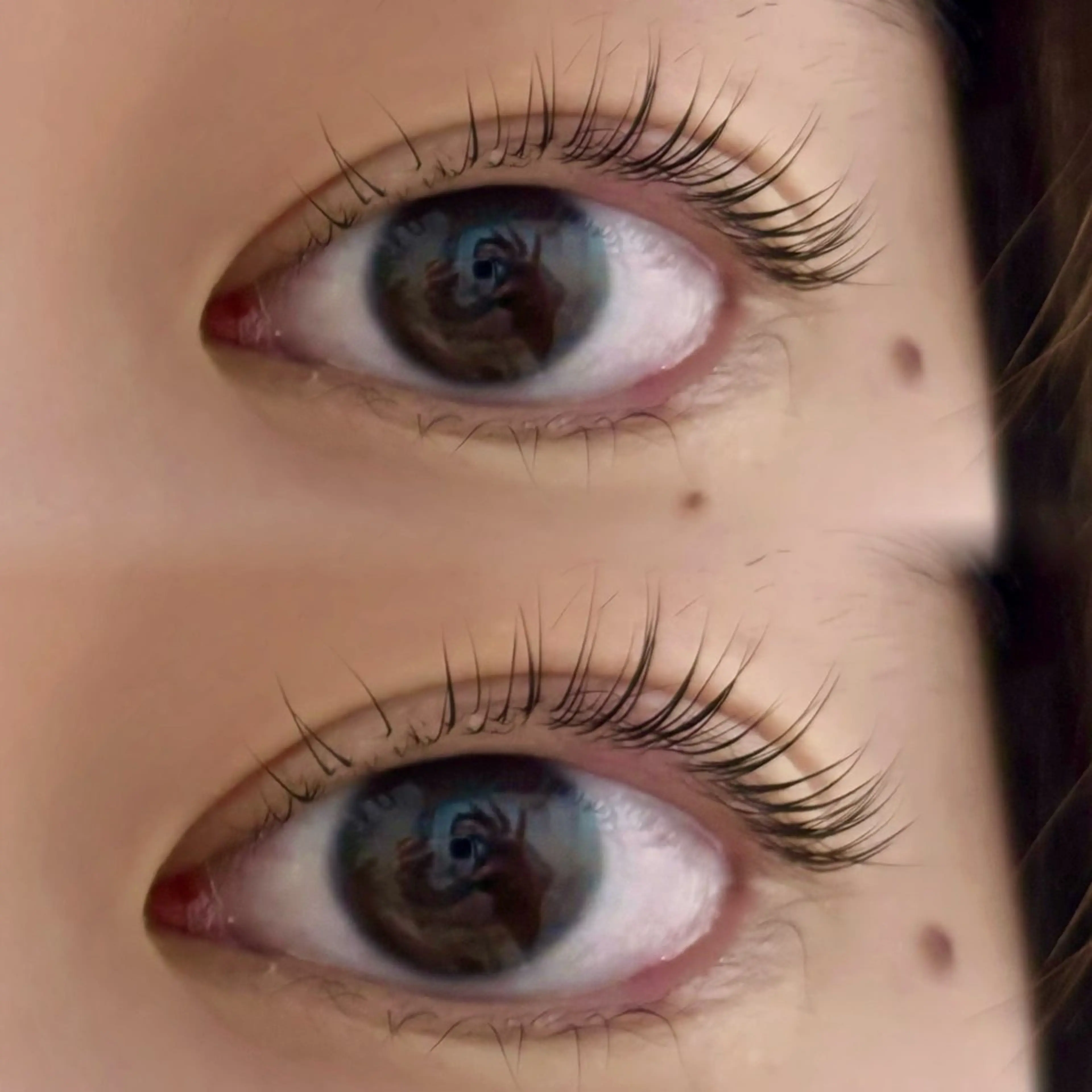 ãããšã¯ã»ããã ðð®ð«ð ââºË³â§àŒã®ãããšã¯ã»ããããã¶ã€ã³