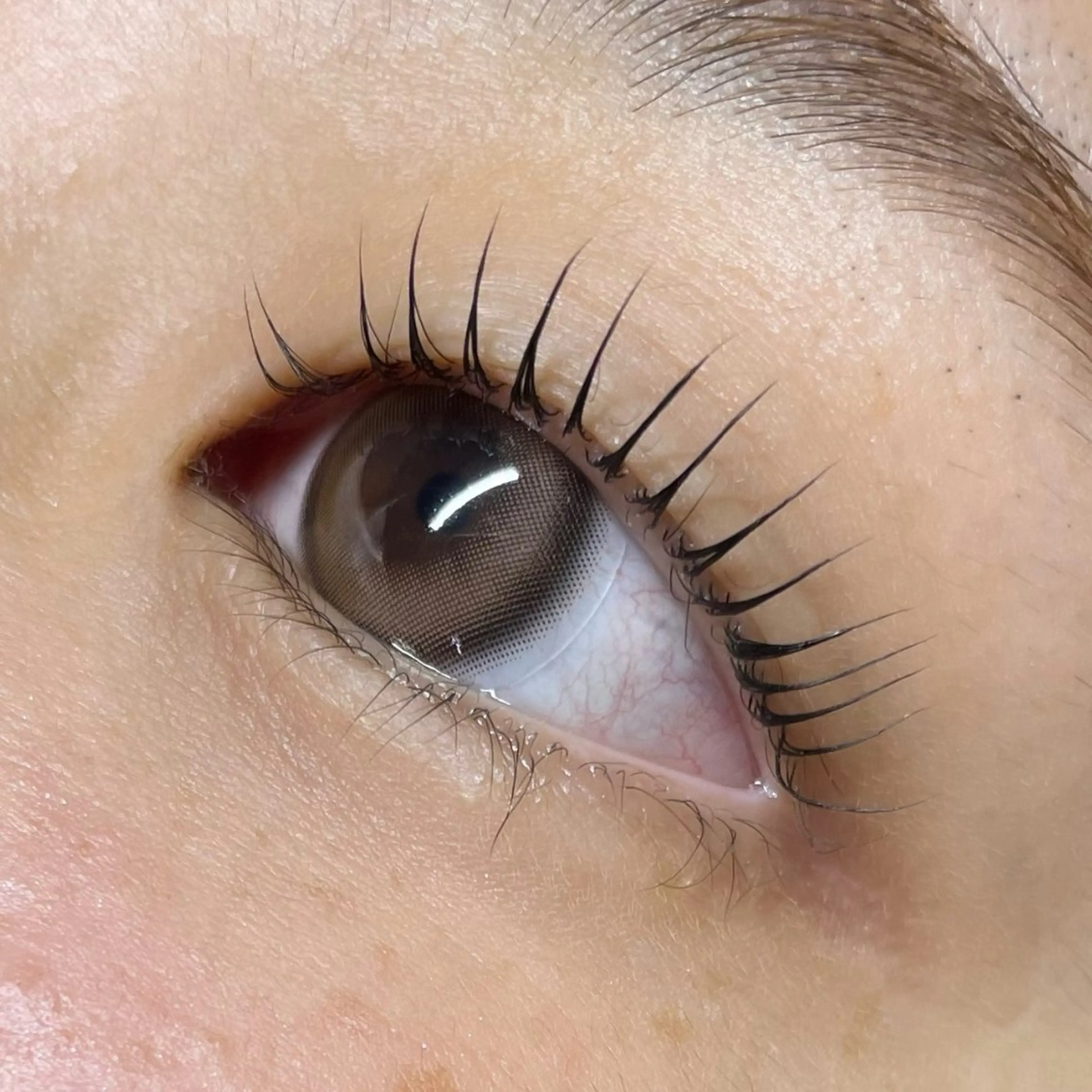 マツエク・マツパ ALL by One' Nessのマツエク・マツパデザイン