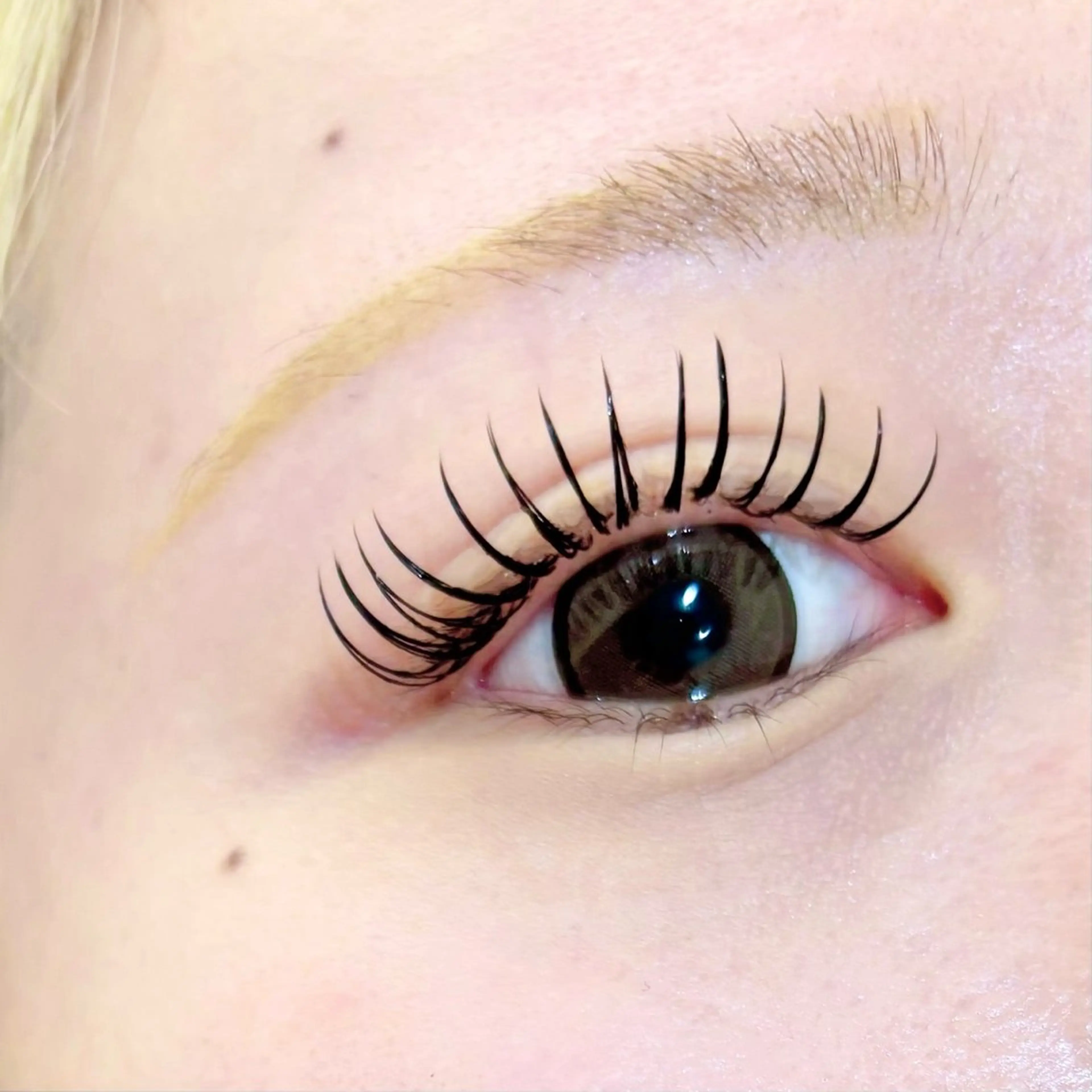 マツエク・マツパ bunny eyes 阿久根の眉毛・アイブロウイメージ