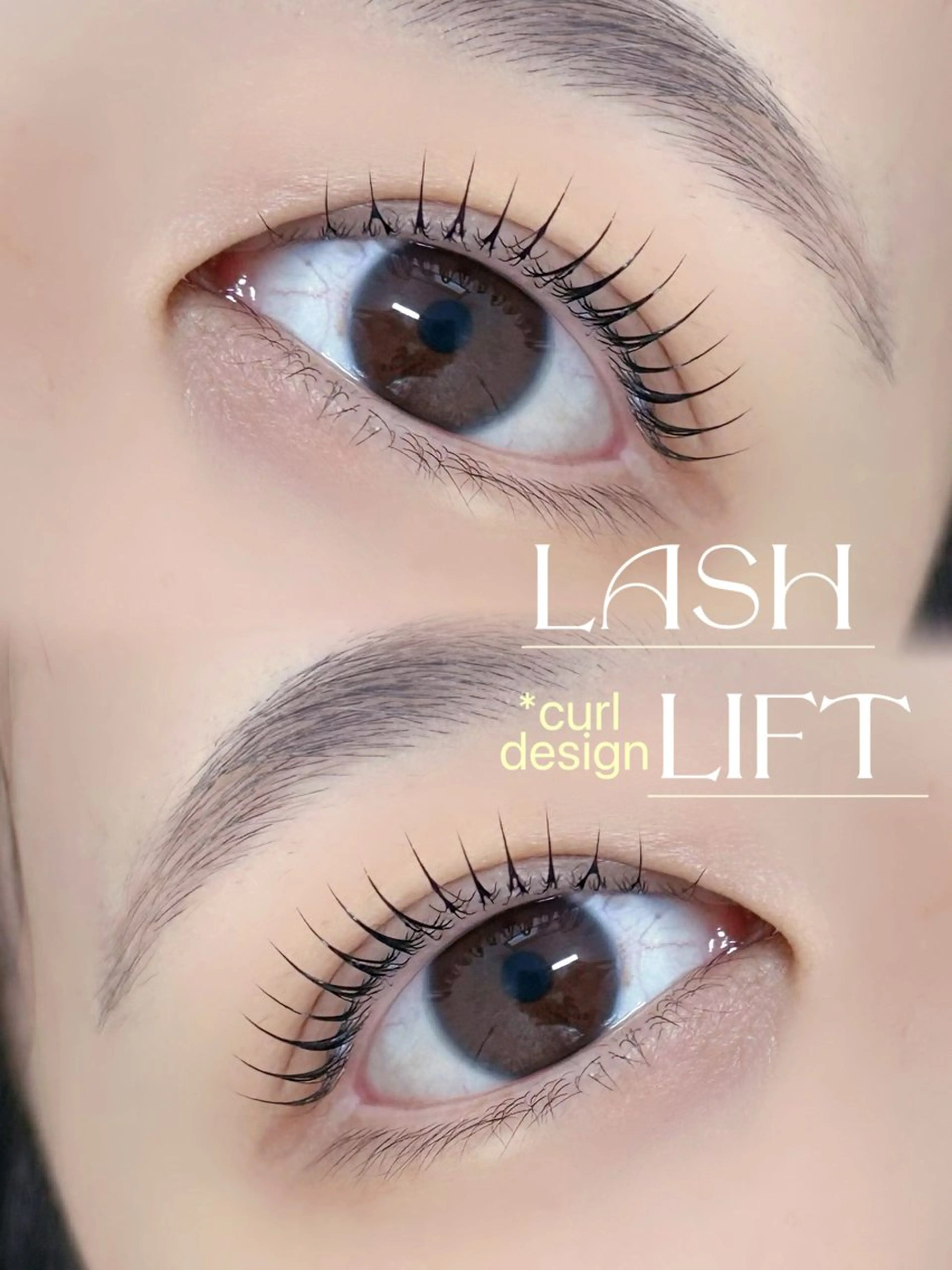 【韓国まつ毛パーマ🇰🇷上のみ】似合わせ韓国デザイン🫶🏻NOグルーでダメージレス✨️最後は束感にお仕上げします🩶の写真