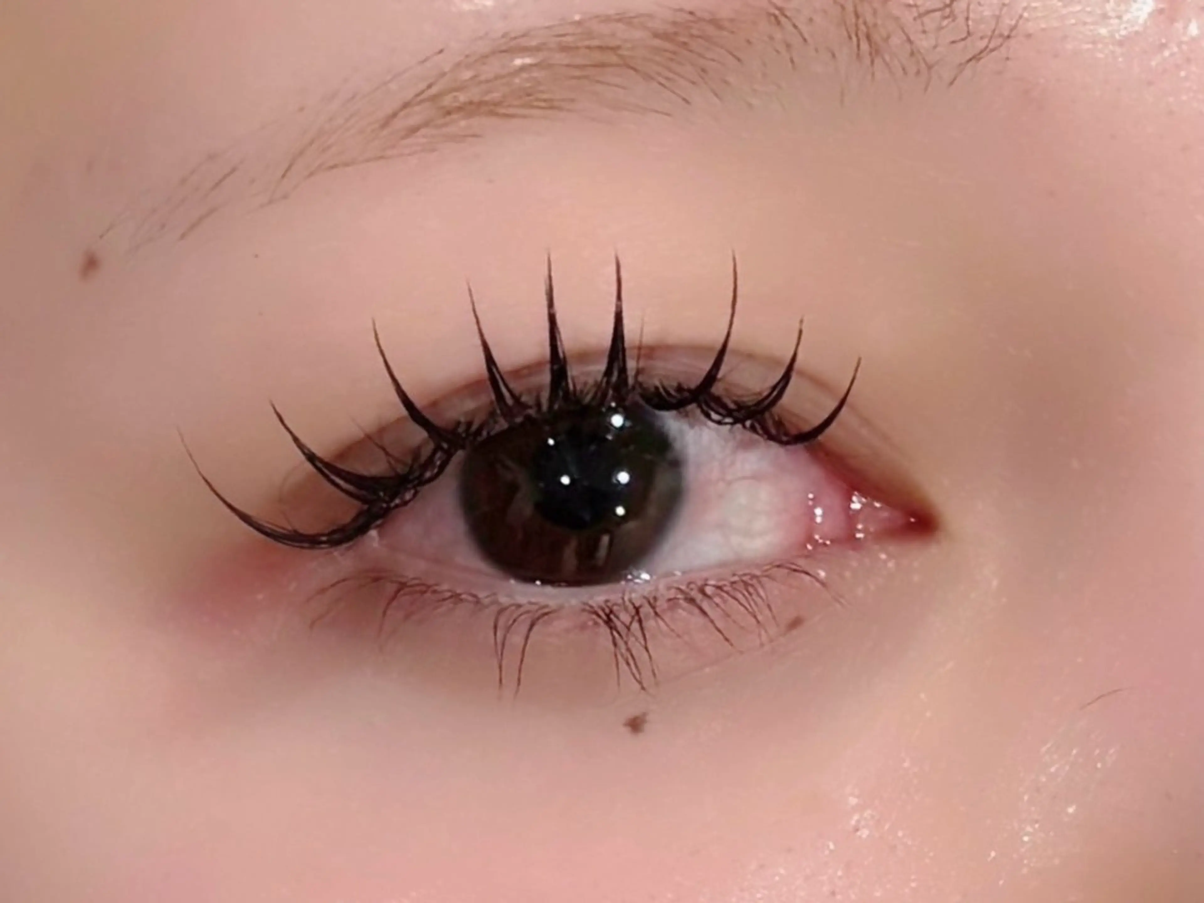 マツエク・マツパ フラットラッシュ マツエク eyelist 🫧usuiのマツエク・マツパデザイン