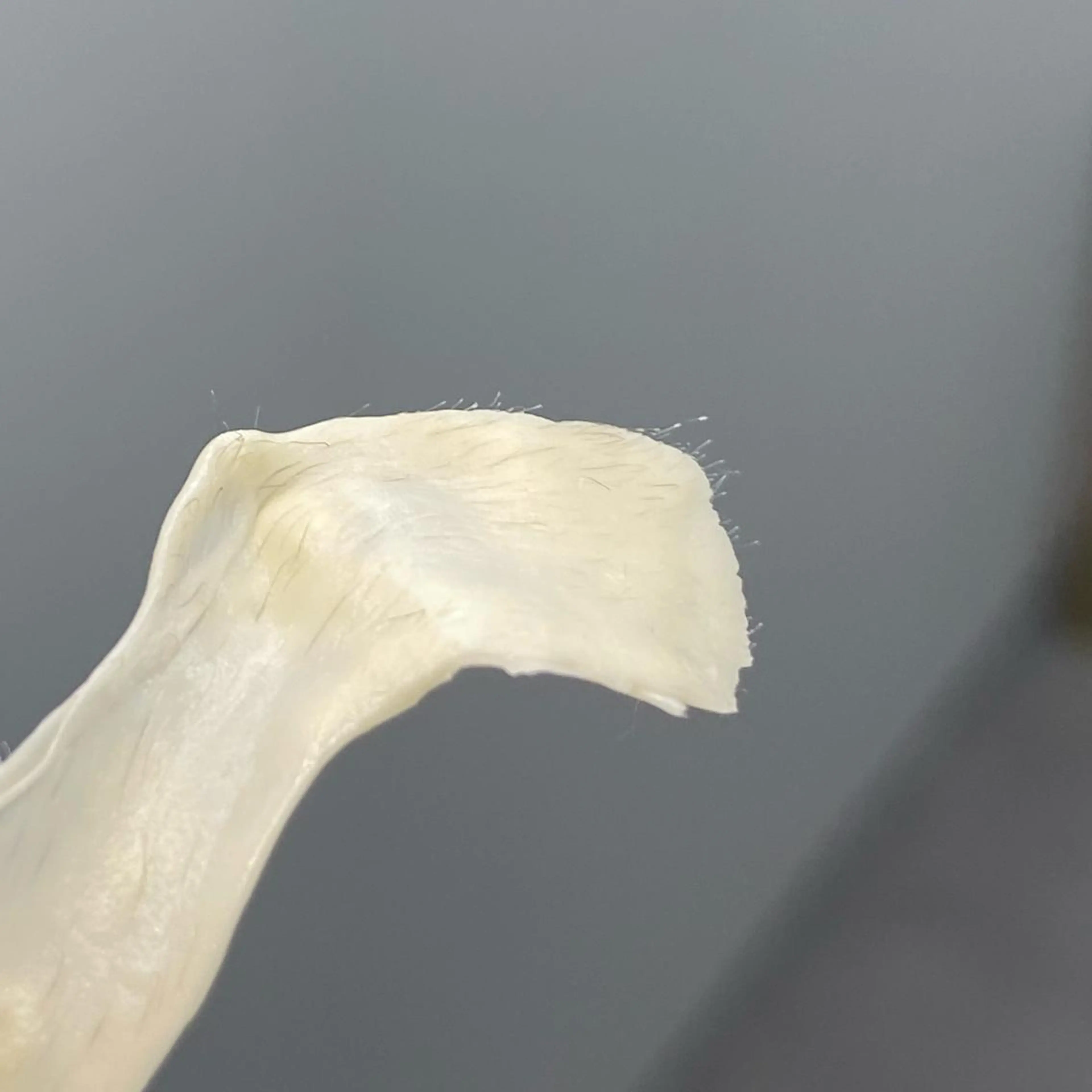 &me ayakaのエステ・リラクイメージ