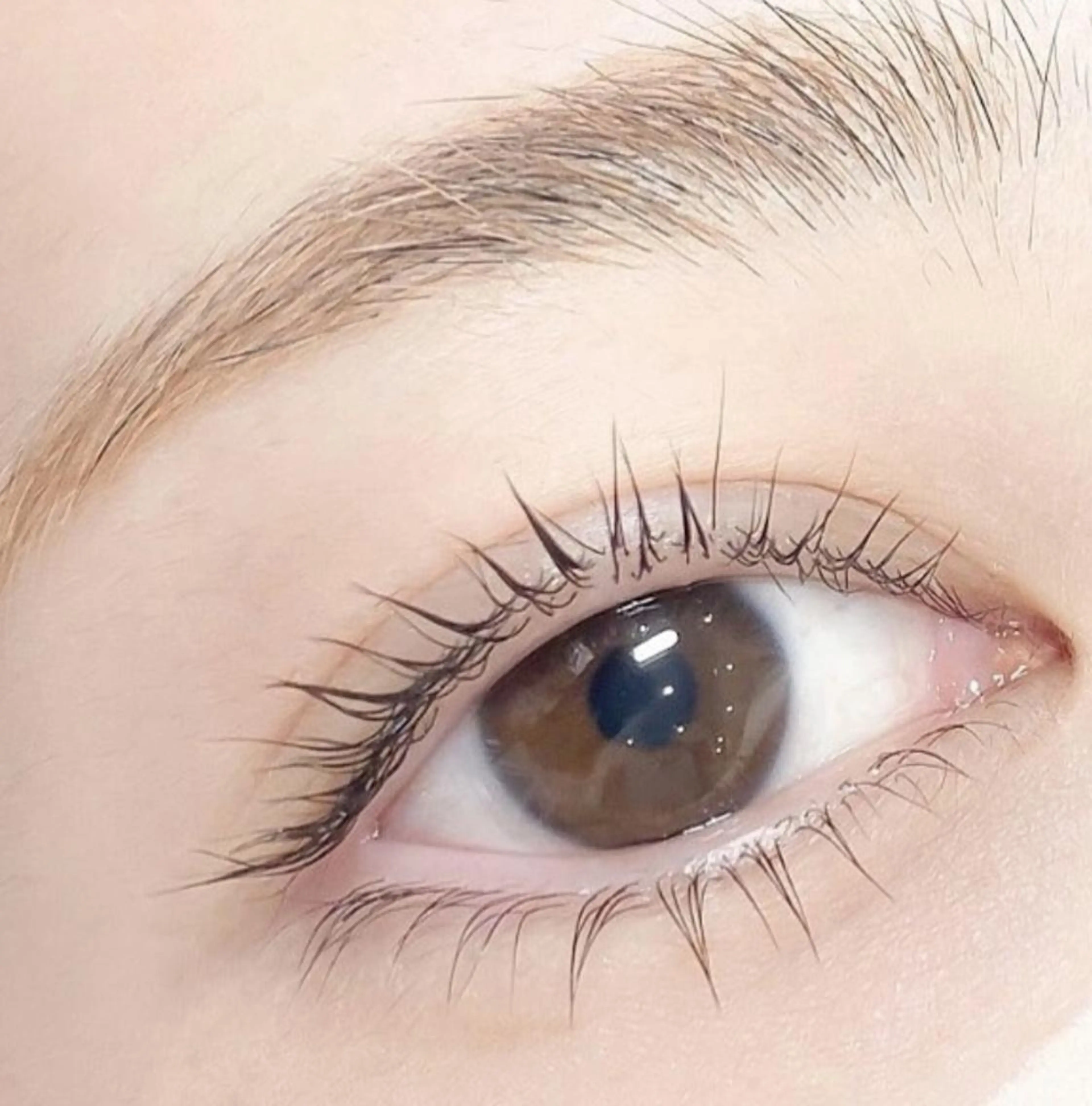 【ミニモ限定ご新規様】✨ラッシュリフト平日13:00～15:00までの特別価格✨の写真