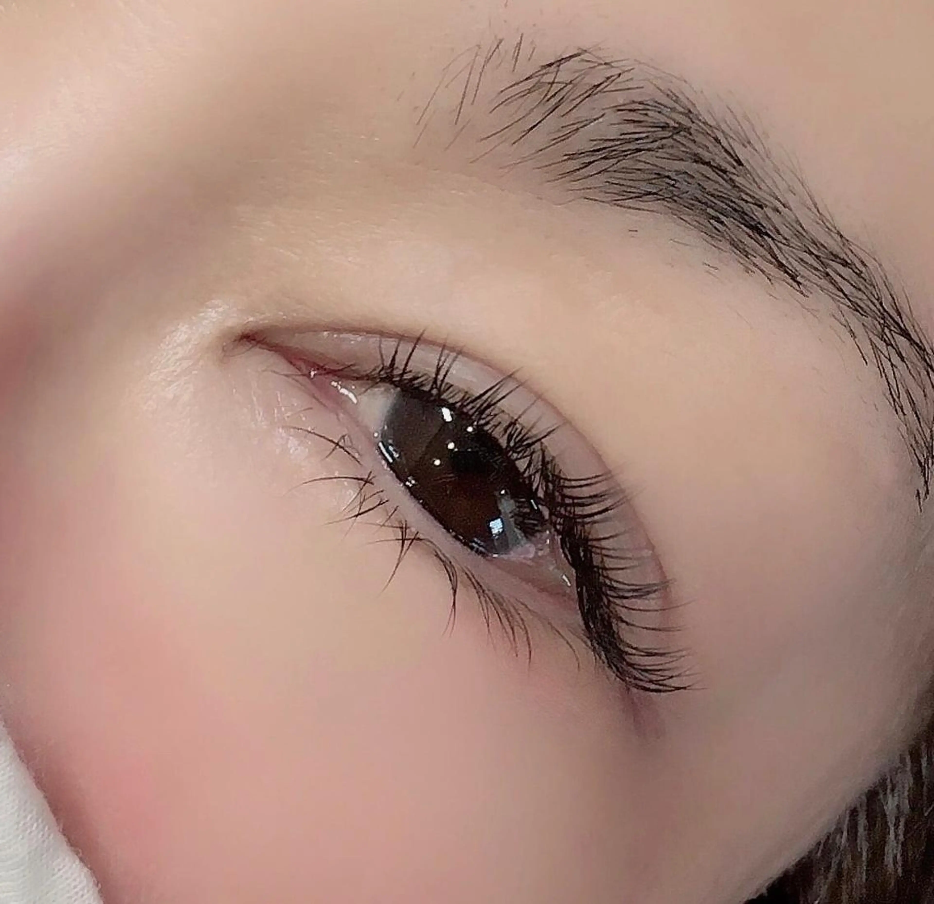 フラットマットラッシュ新エクストリーム80本の写真