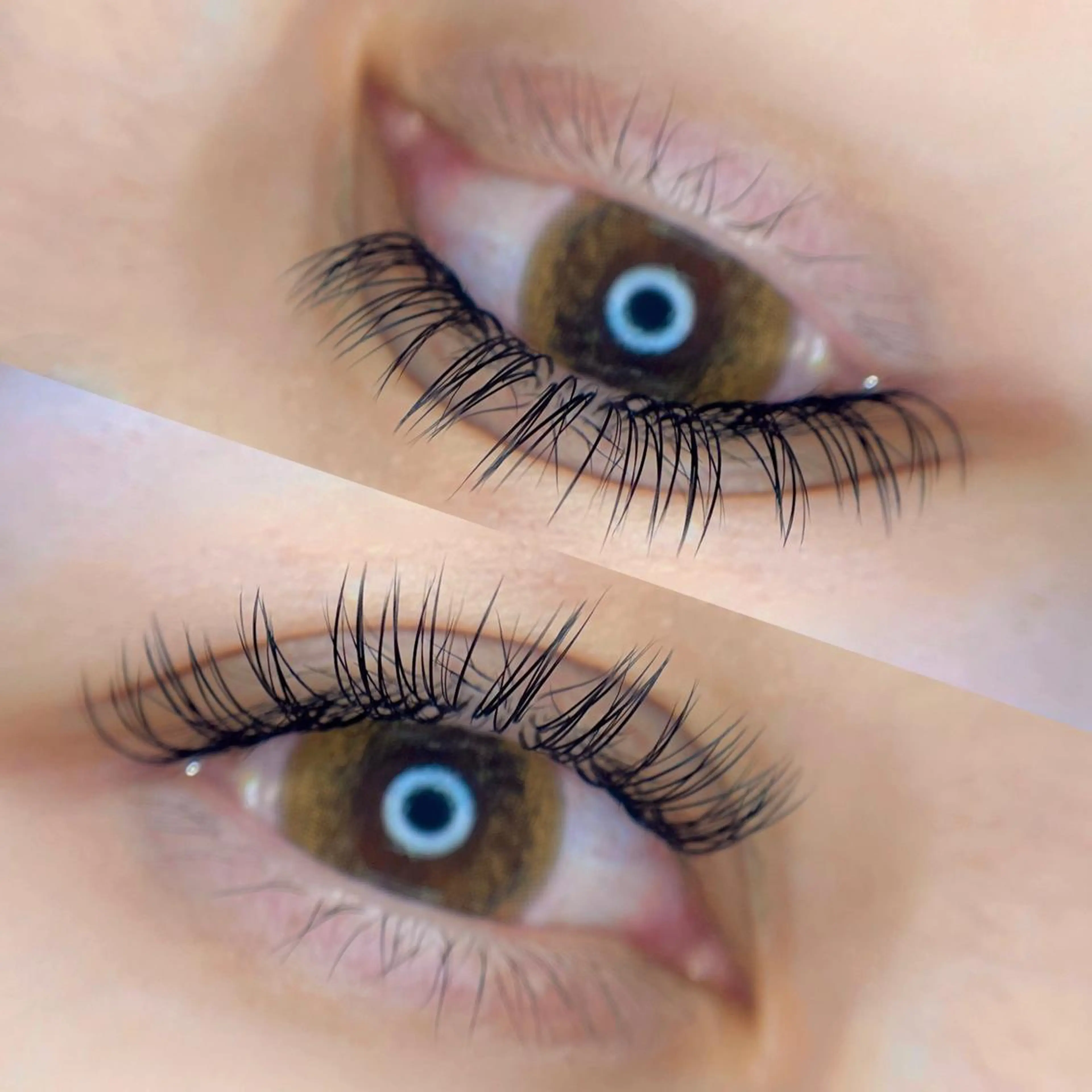 バインドロック【80束】オフなし🌟 アイケア付き◎ブラウン変更可能の写真