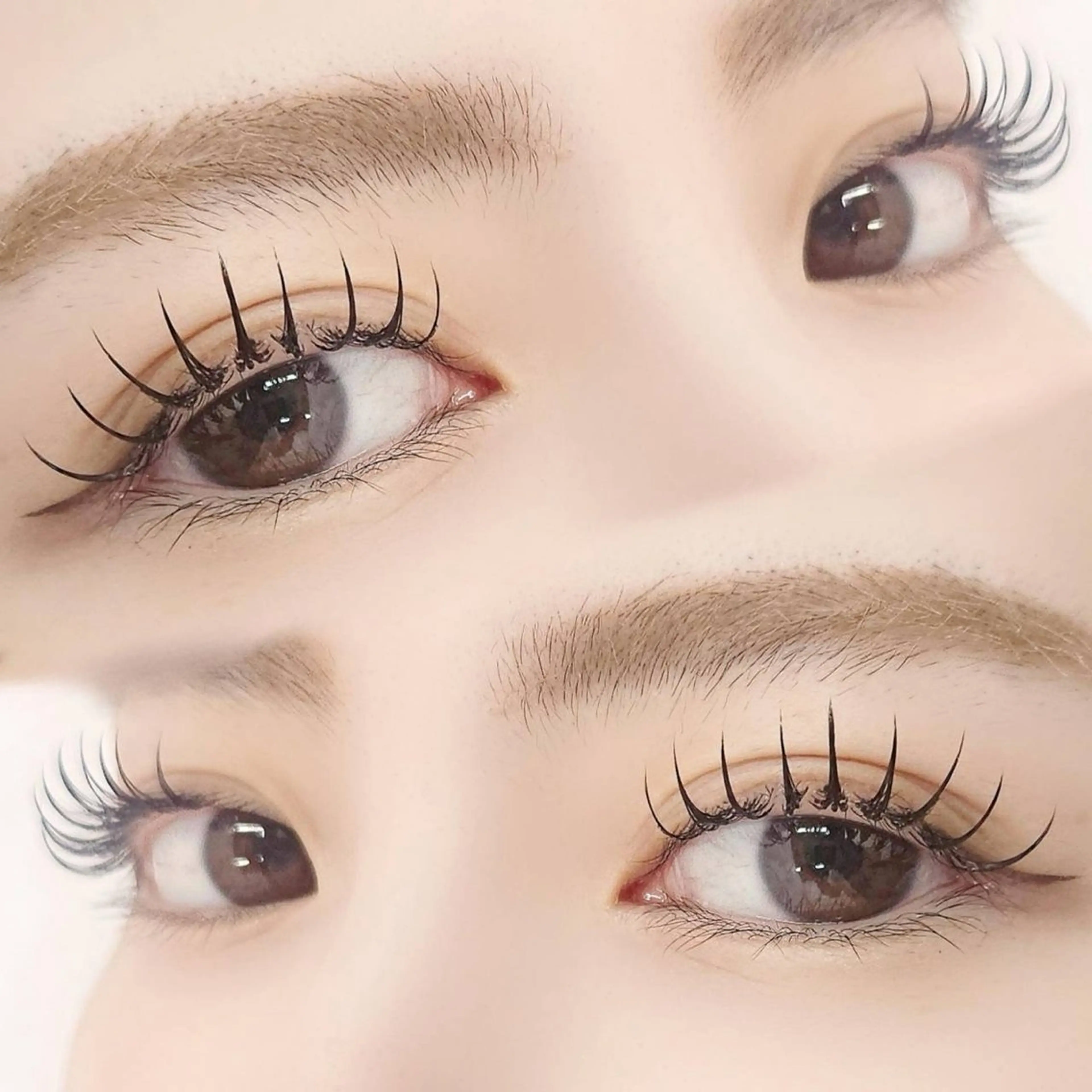 【ご新規様限定】💎韓国風・束感まつ毛パーマ（コーティング付き）の写真