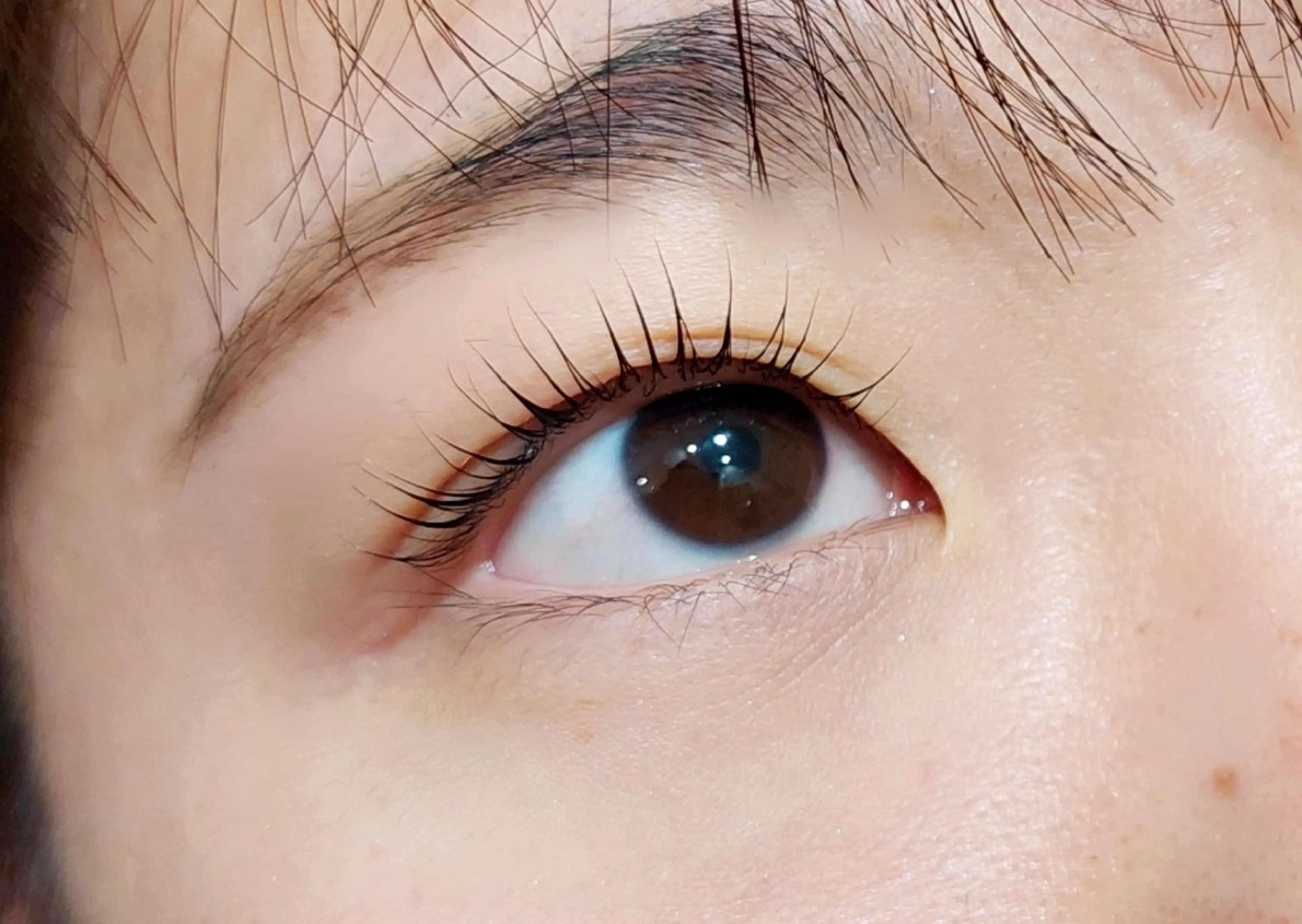 マツエク・マツパ 一重×まつ毛パーマ マツパ 船橋競馬場駅4分ヘア デザインジュリエ前橋のマツエク・マツパデザイン