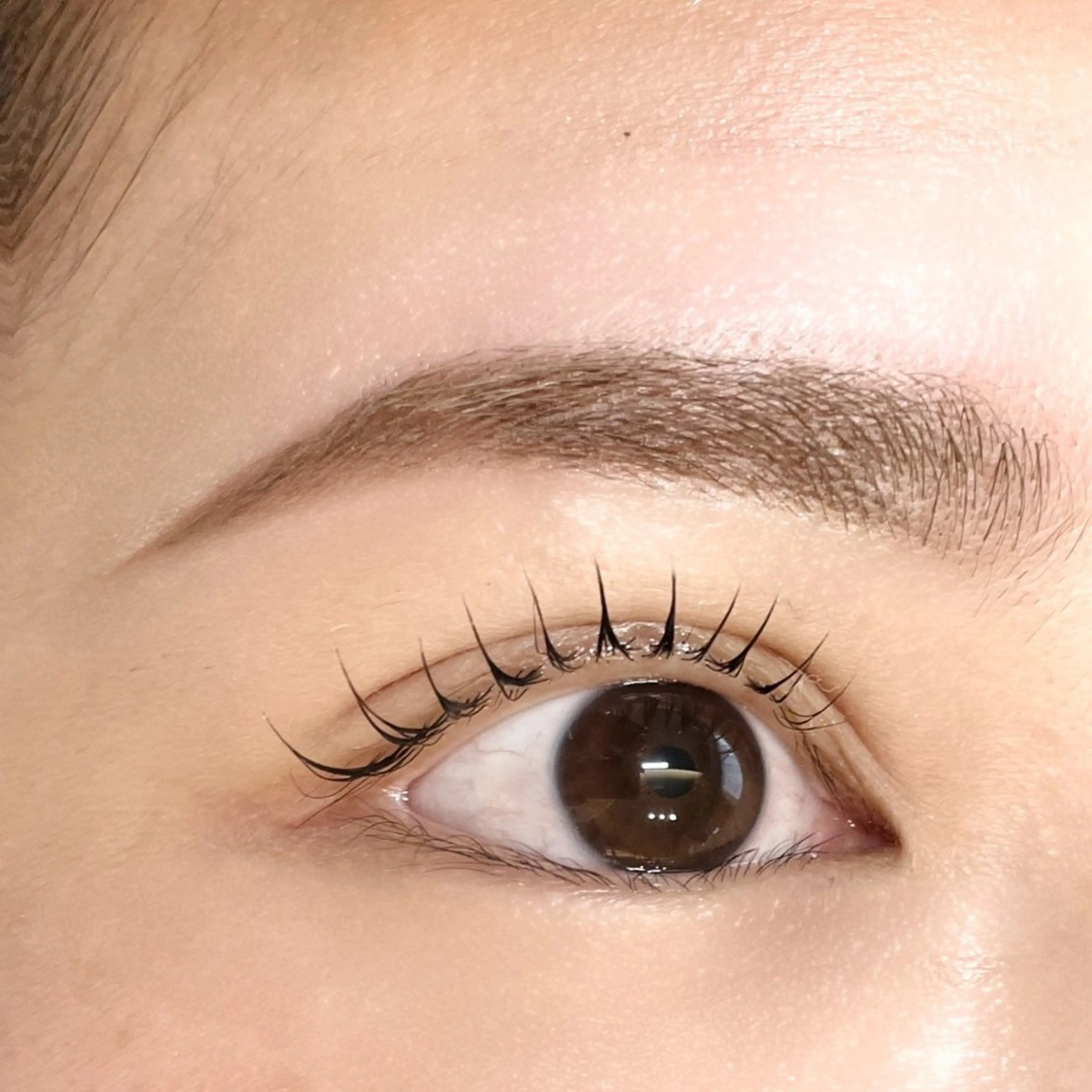 アイブロウ 新小岩まつ毛眉毛 BelkaLashの眉毛・アイブロウイメージ