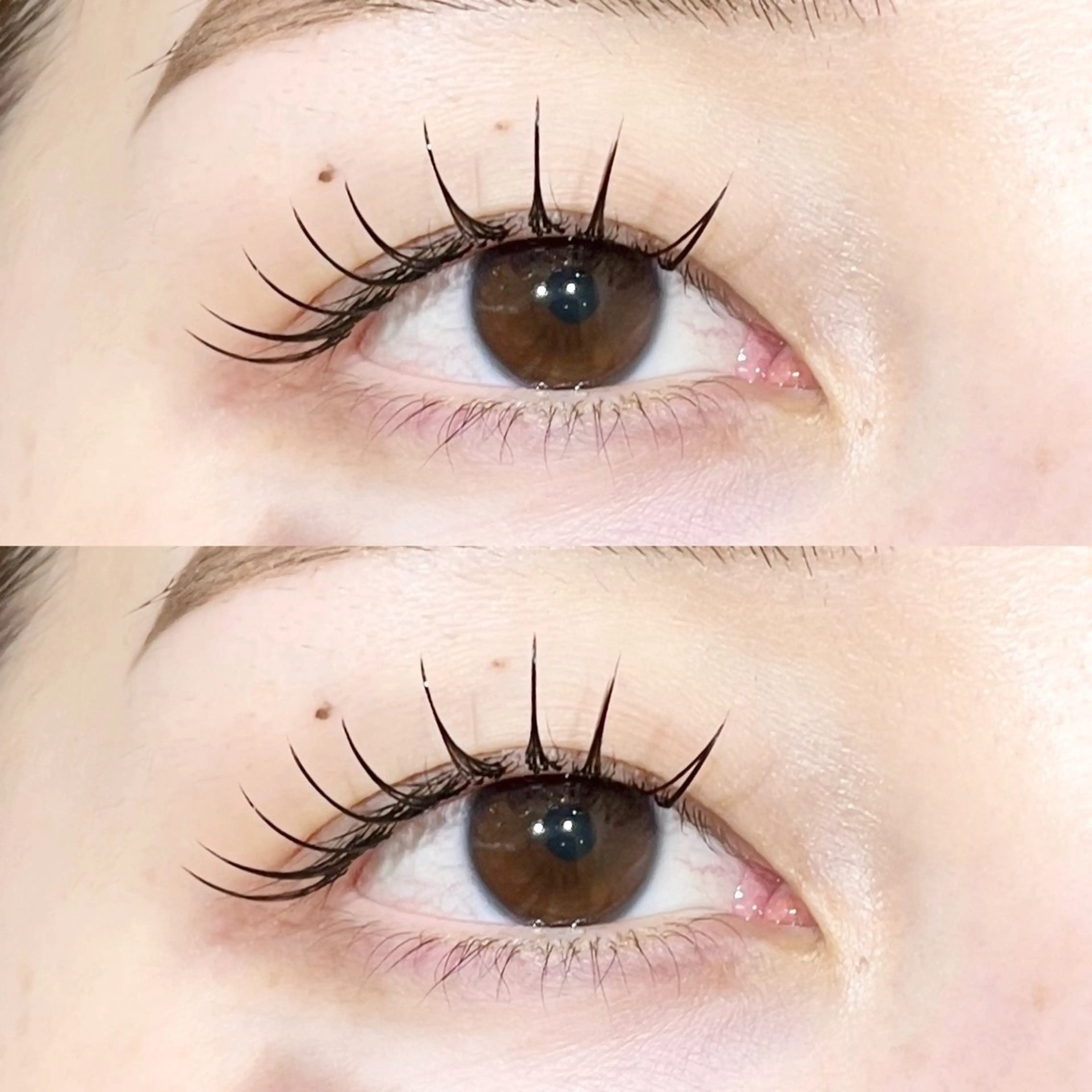 いつもよりぱっちりとした印象に🤍LED×アップワードラッシュ100​〜​120本　※オフ有の写真