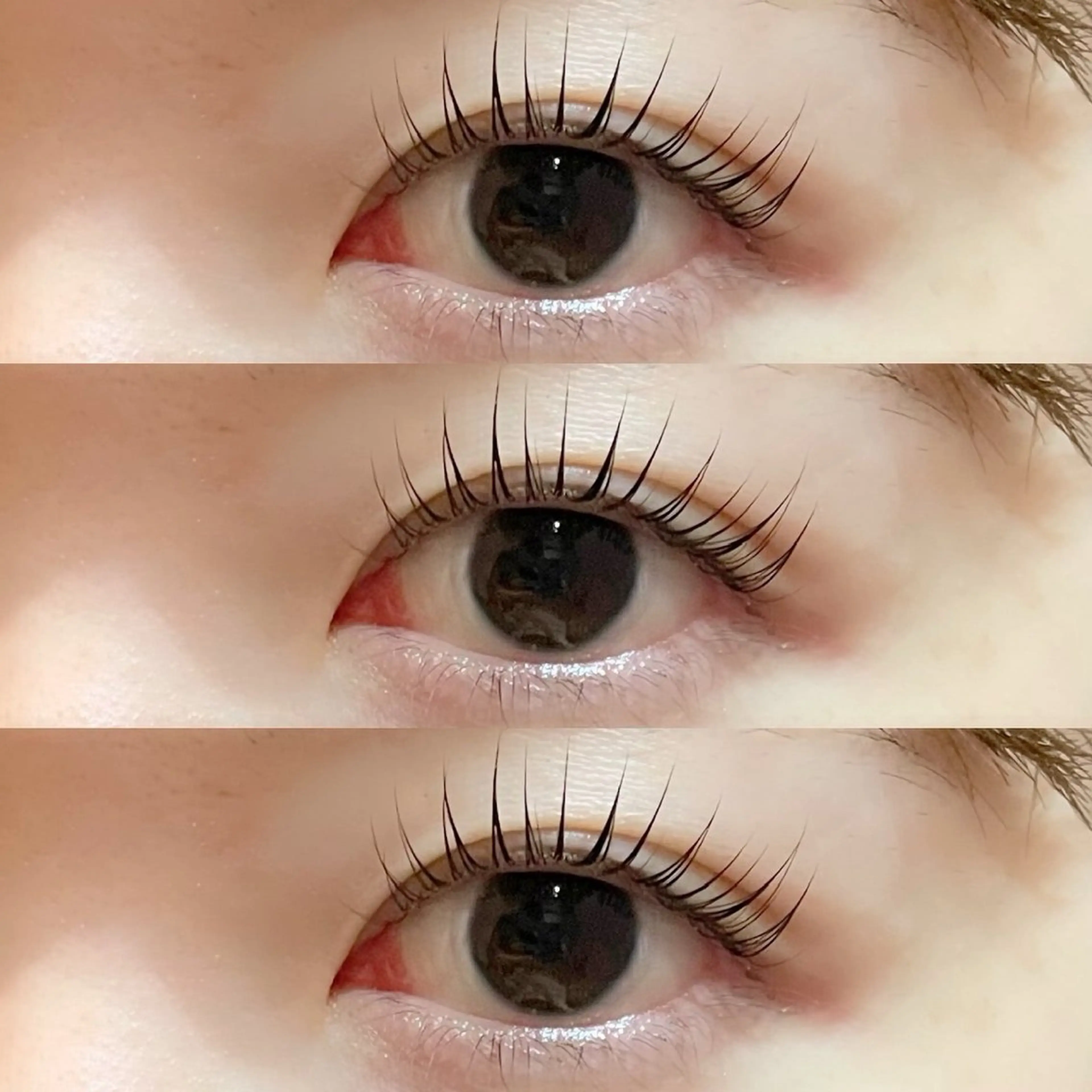 【期間限定オープン価格】🕊パリジェンヌラッシュリフト🕊の写真