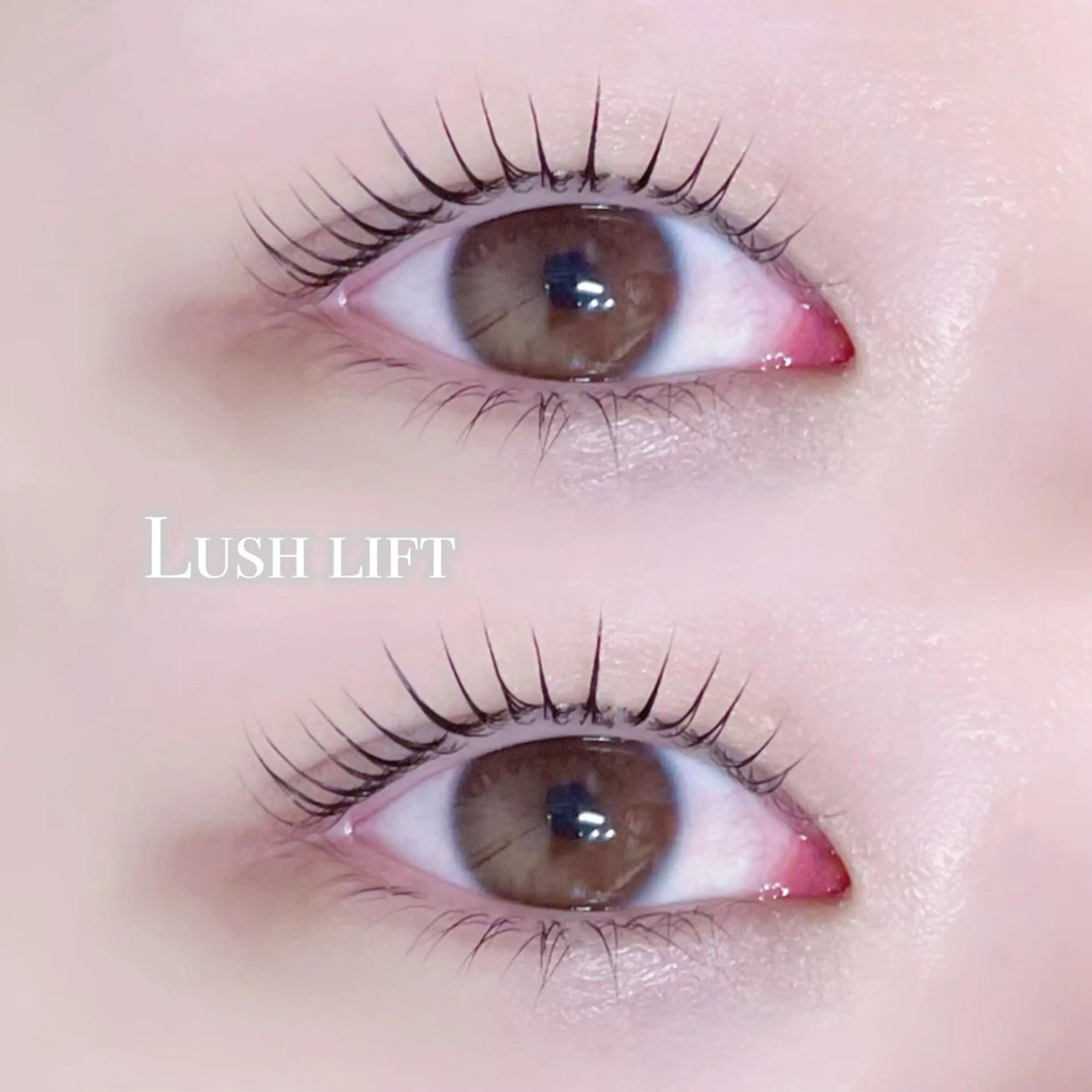 マツエク・マツパ meme🦋マツパ/ アイブロウ/メンズの眉毛・アイブロウイメージ