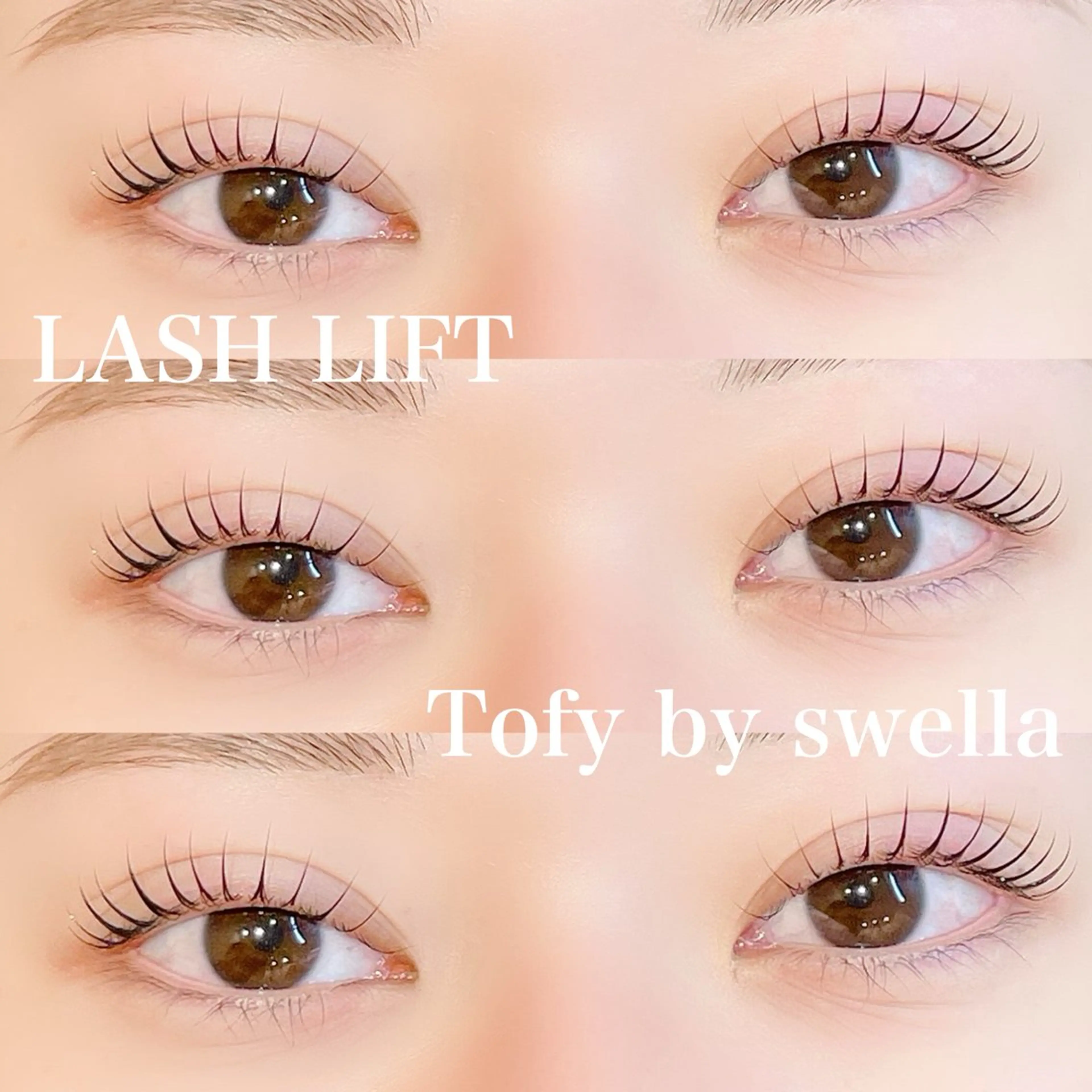 マツエク・マツパ マツパ TOMOMI 🍊Tofyのマツエク・マツパデザイン