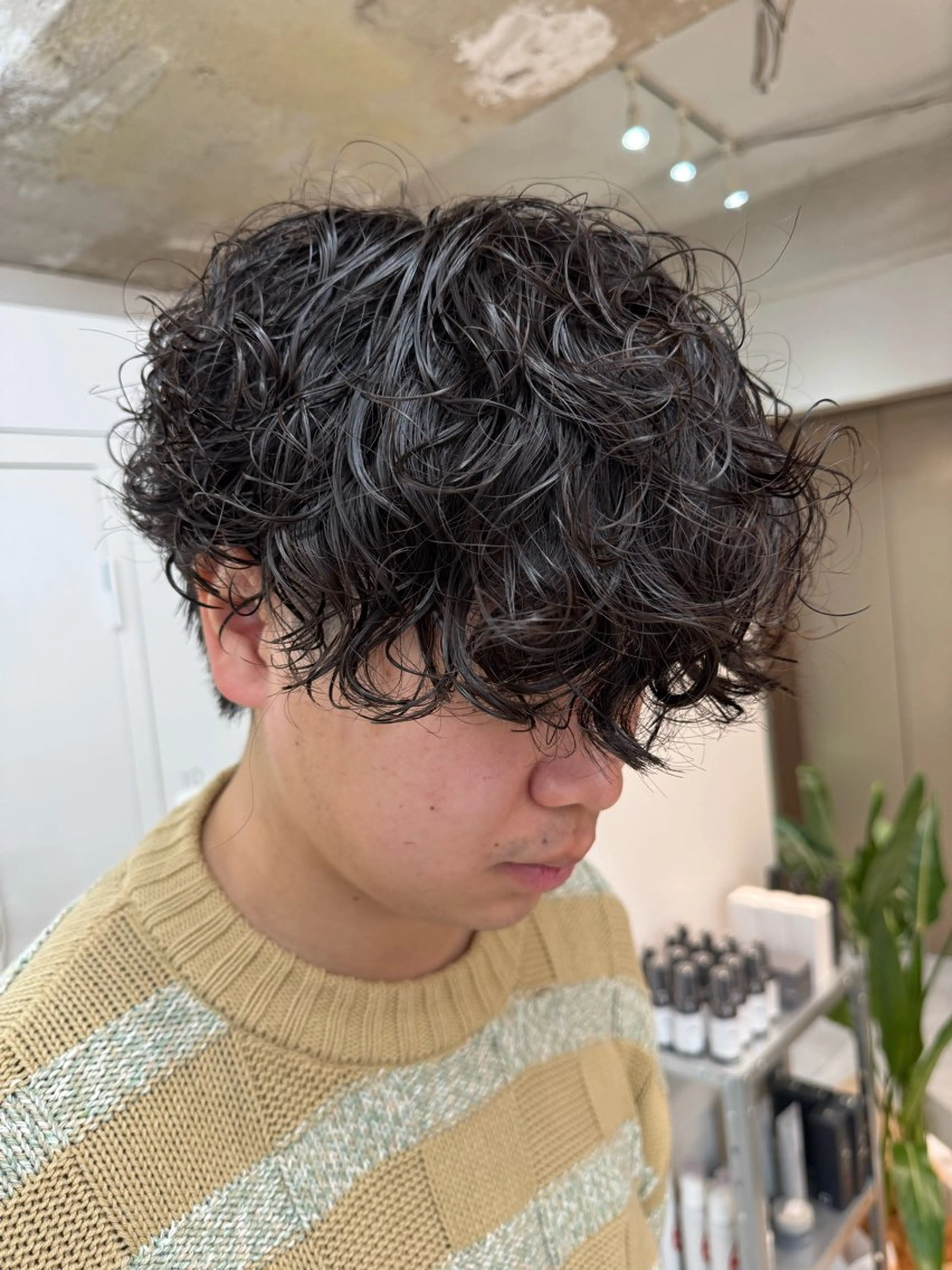 パーマ メンズ メンズパーマ プードルパーマ プードルパーマ カット パーマ 大宮メンズ特化/パー マ職人/小川藍人のヘアスタイル