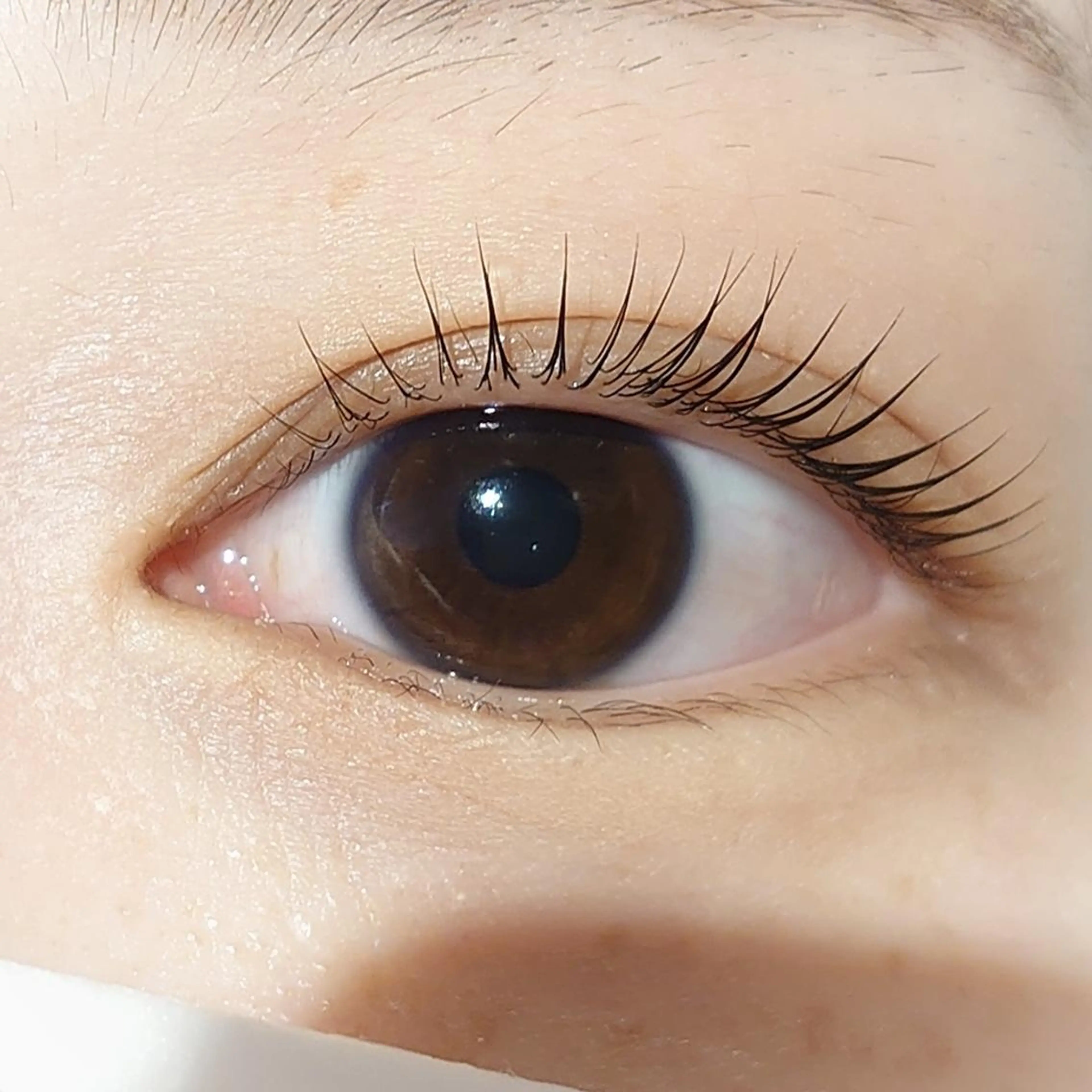 マツエク・マツパ パリジェンヌラッシュリフト さ とうのマツエク・マツパデザイン