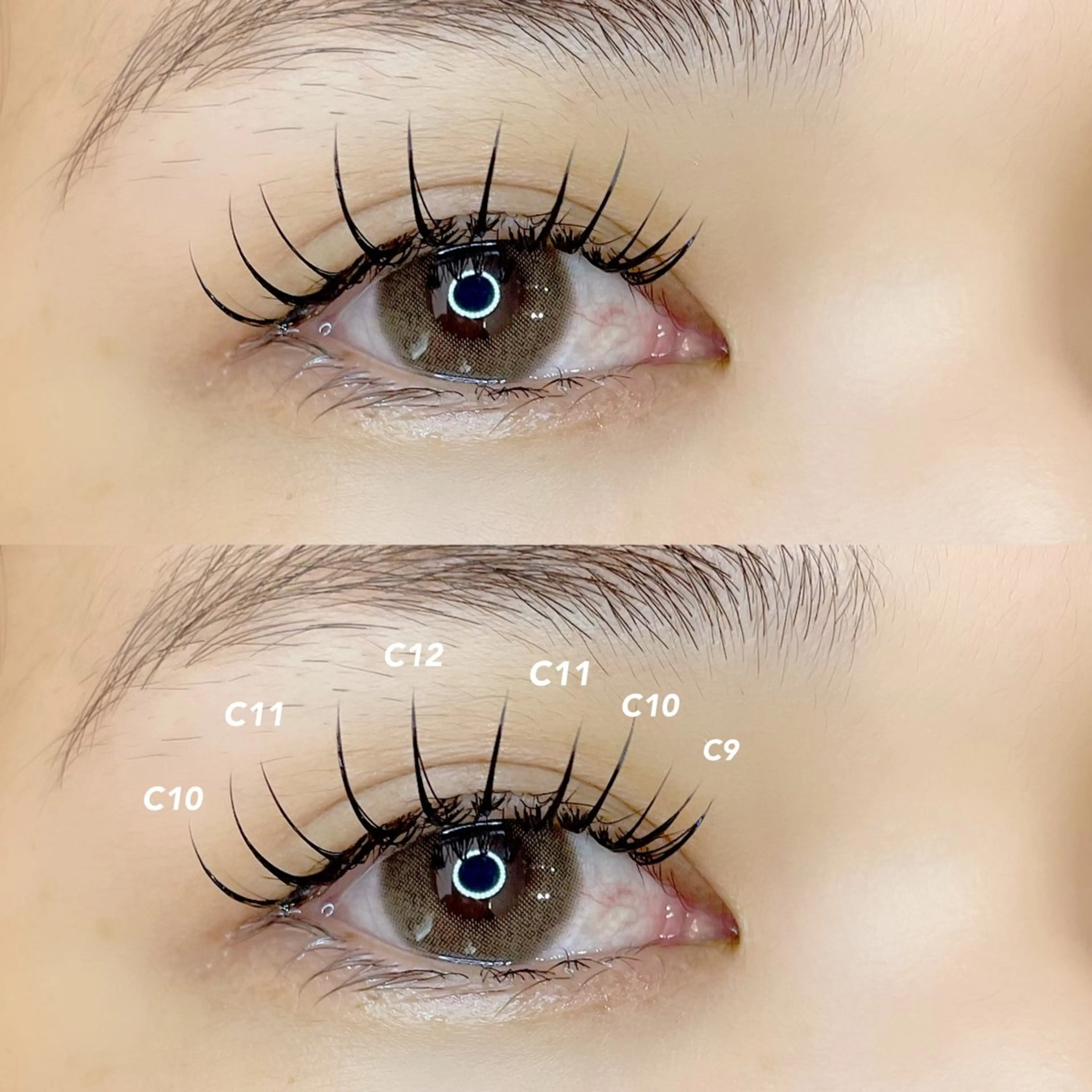 w flat 160本(80set)の写真