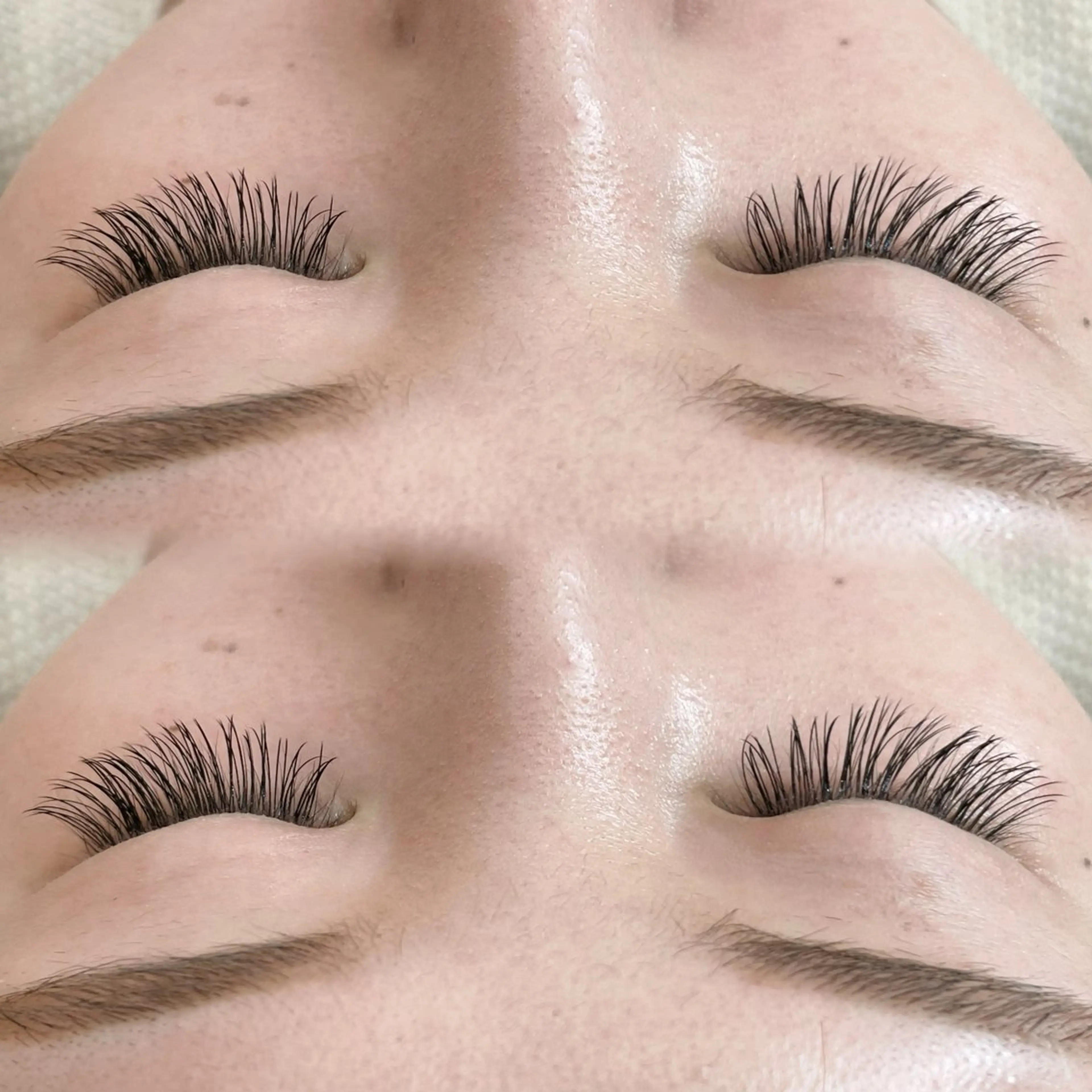 Wフラットラッシュ100束(200本)🎀の写真