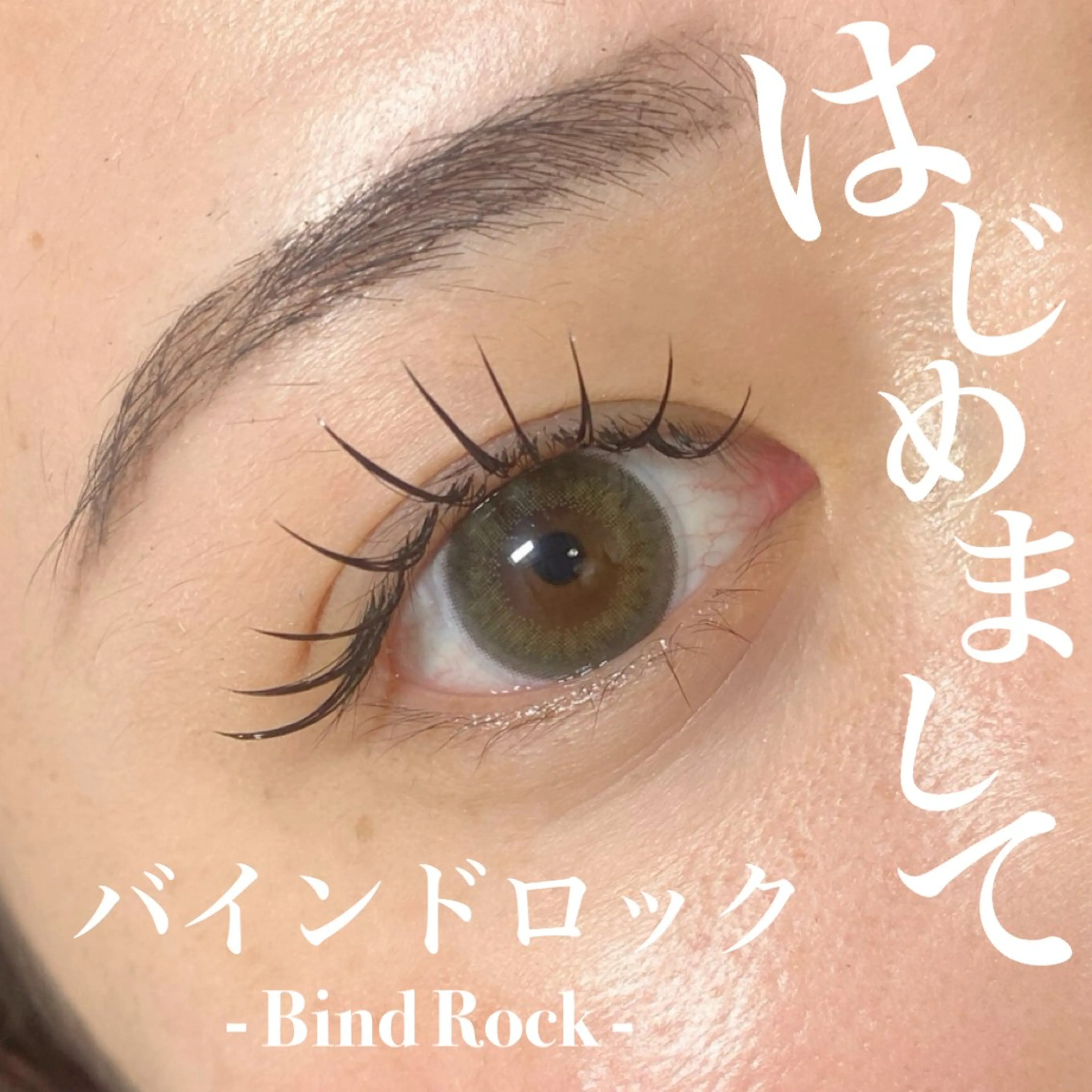 【バインドロック】　80束の写真