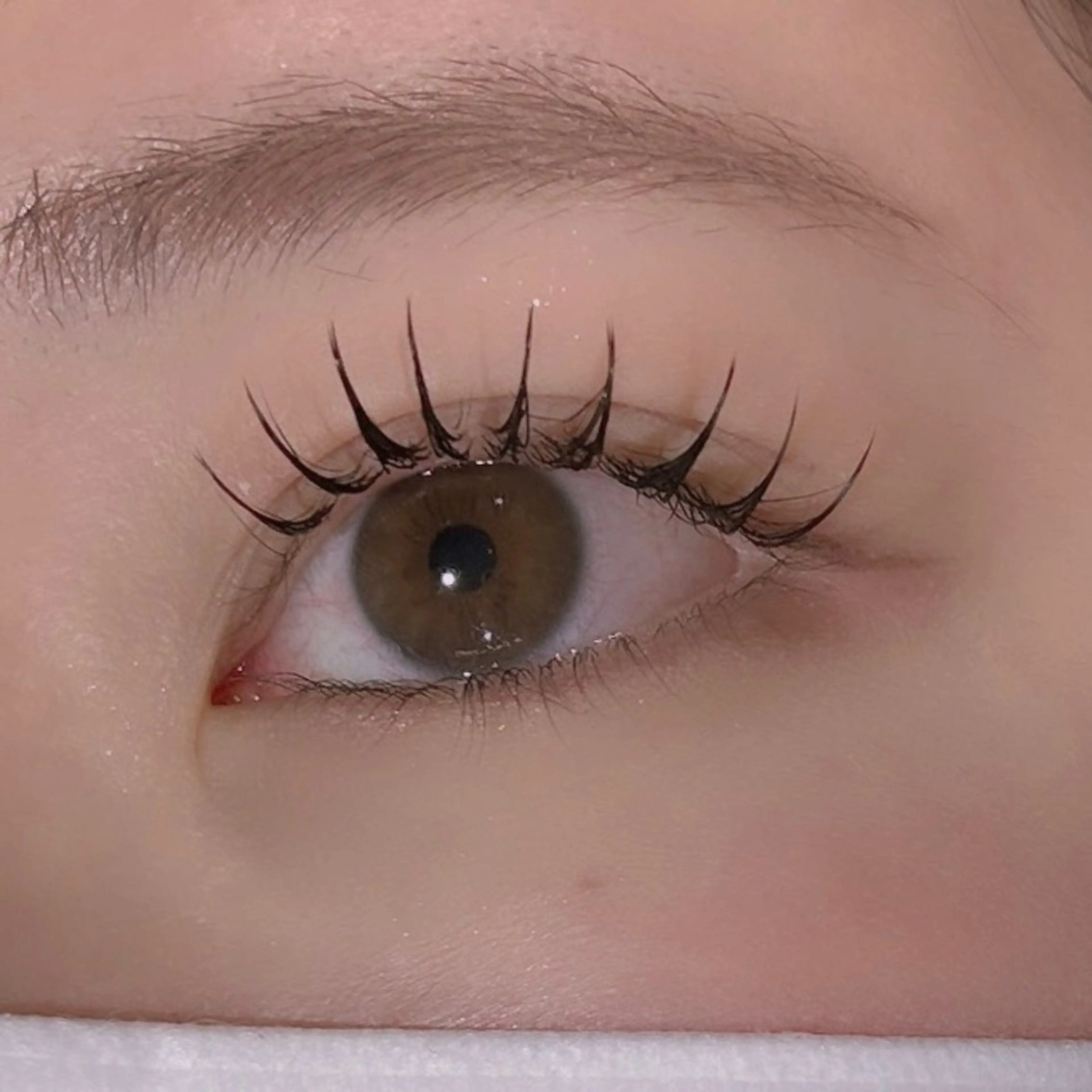 マツエク・マツパ マツエク hair&eye🎀 /momoKaのヘアスタイル