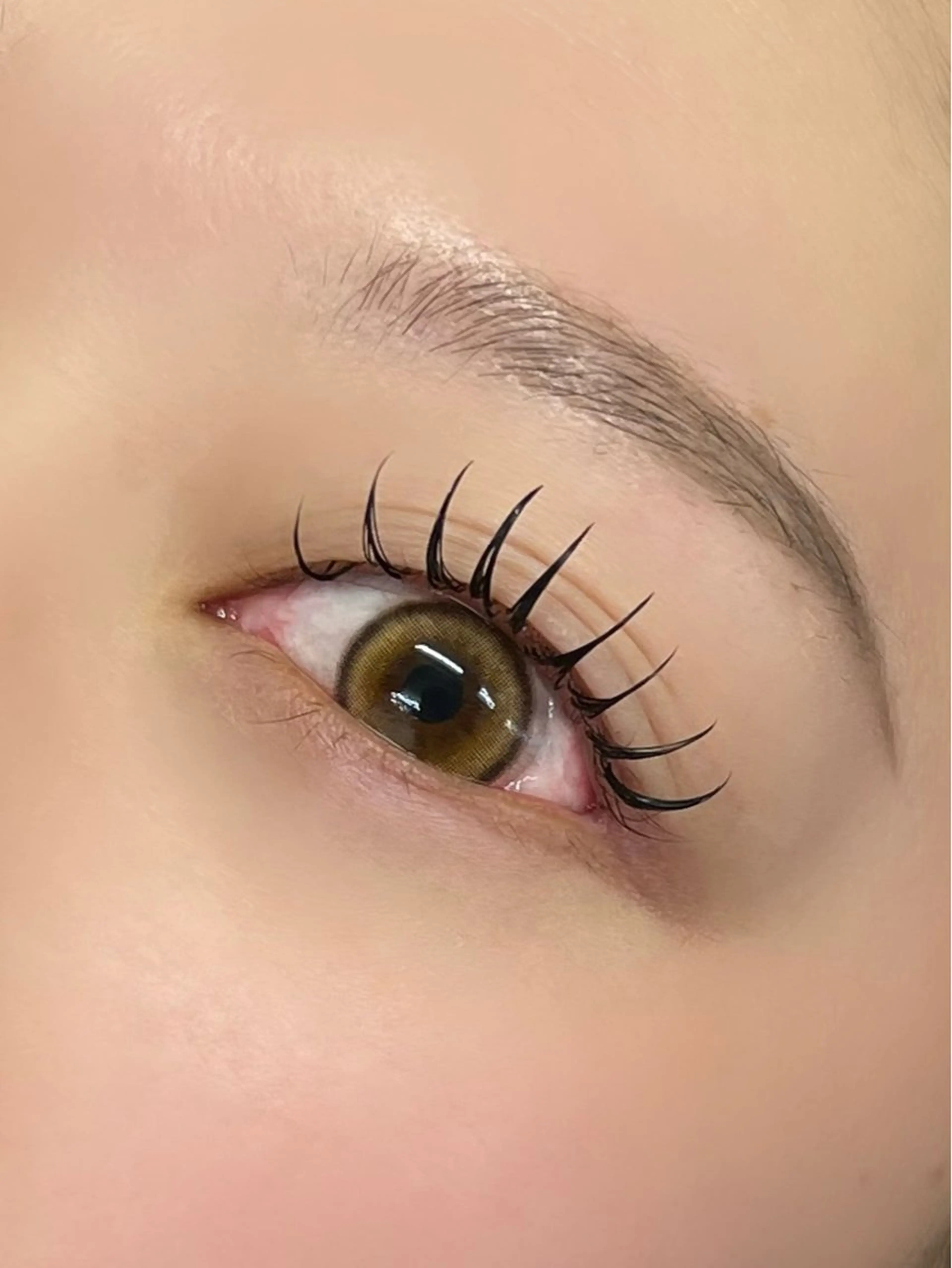 バインドロック80束❮ オフ別 ❯の写真