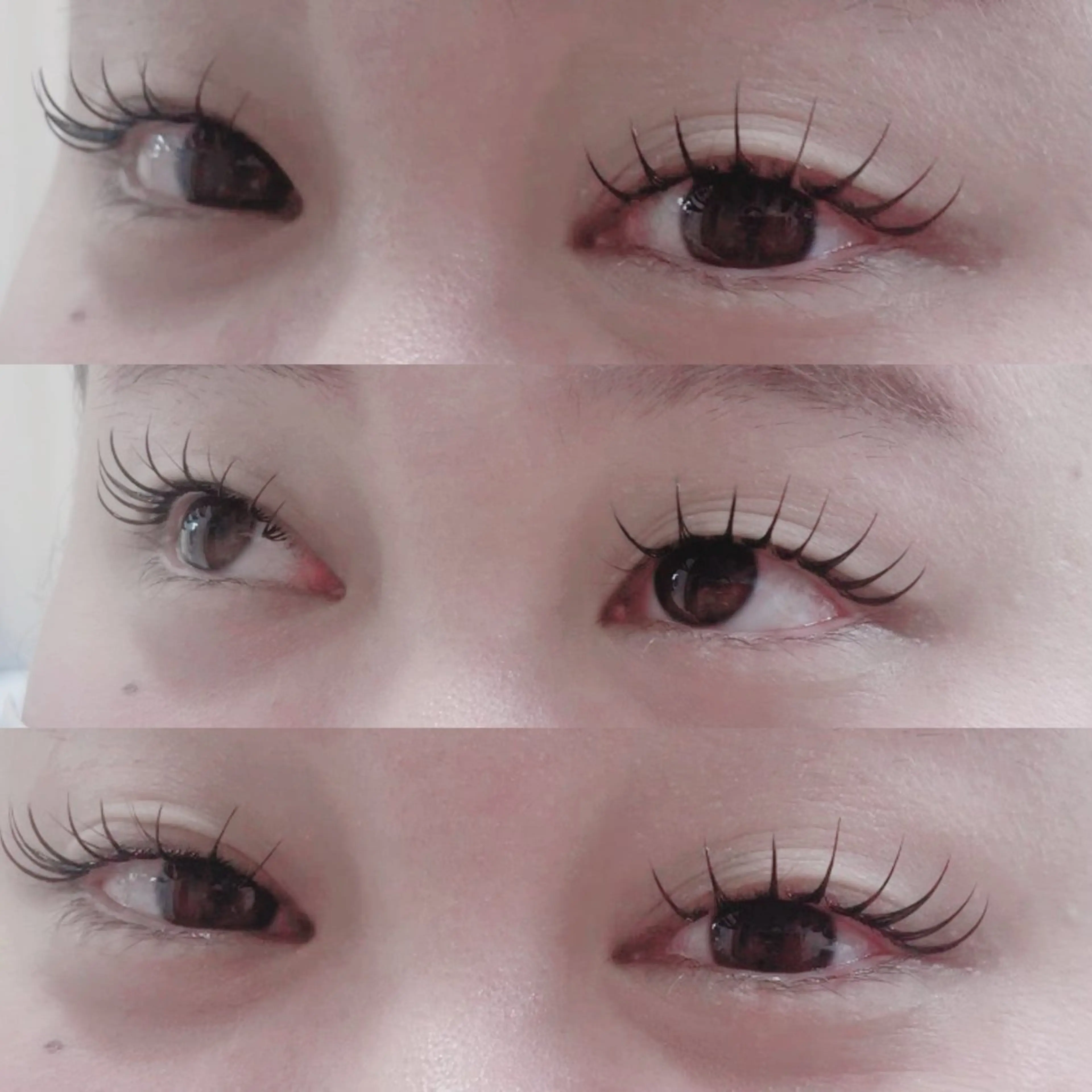 『パリエク』フラットラッシュ100本の写真