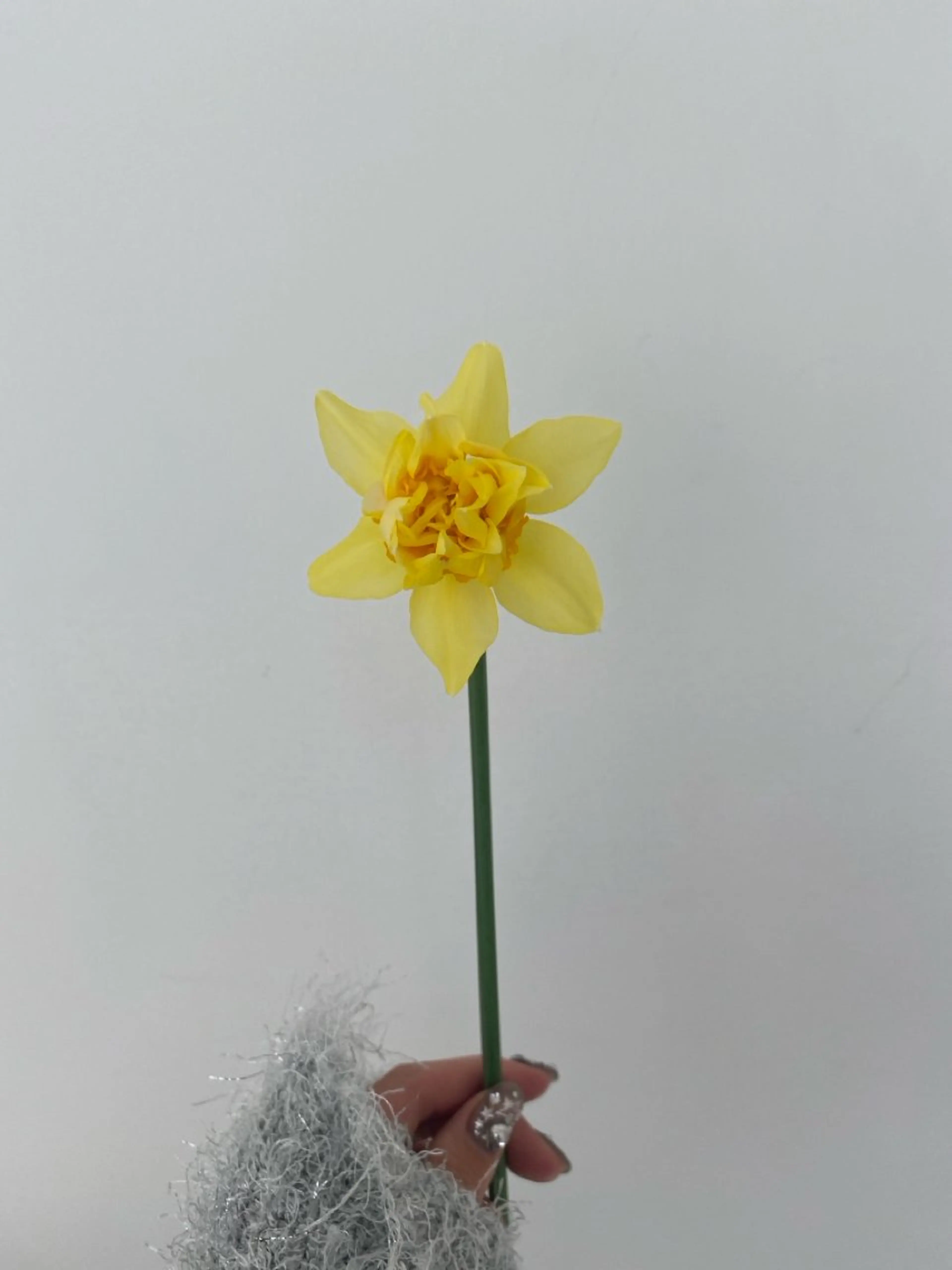 カット ヘアカラー トリートメント 🌻花屋併設🌻濱 幸帆のヘアスタイル