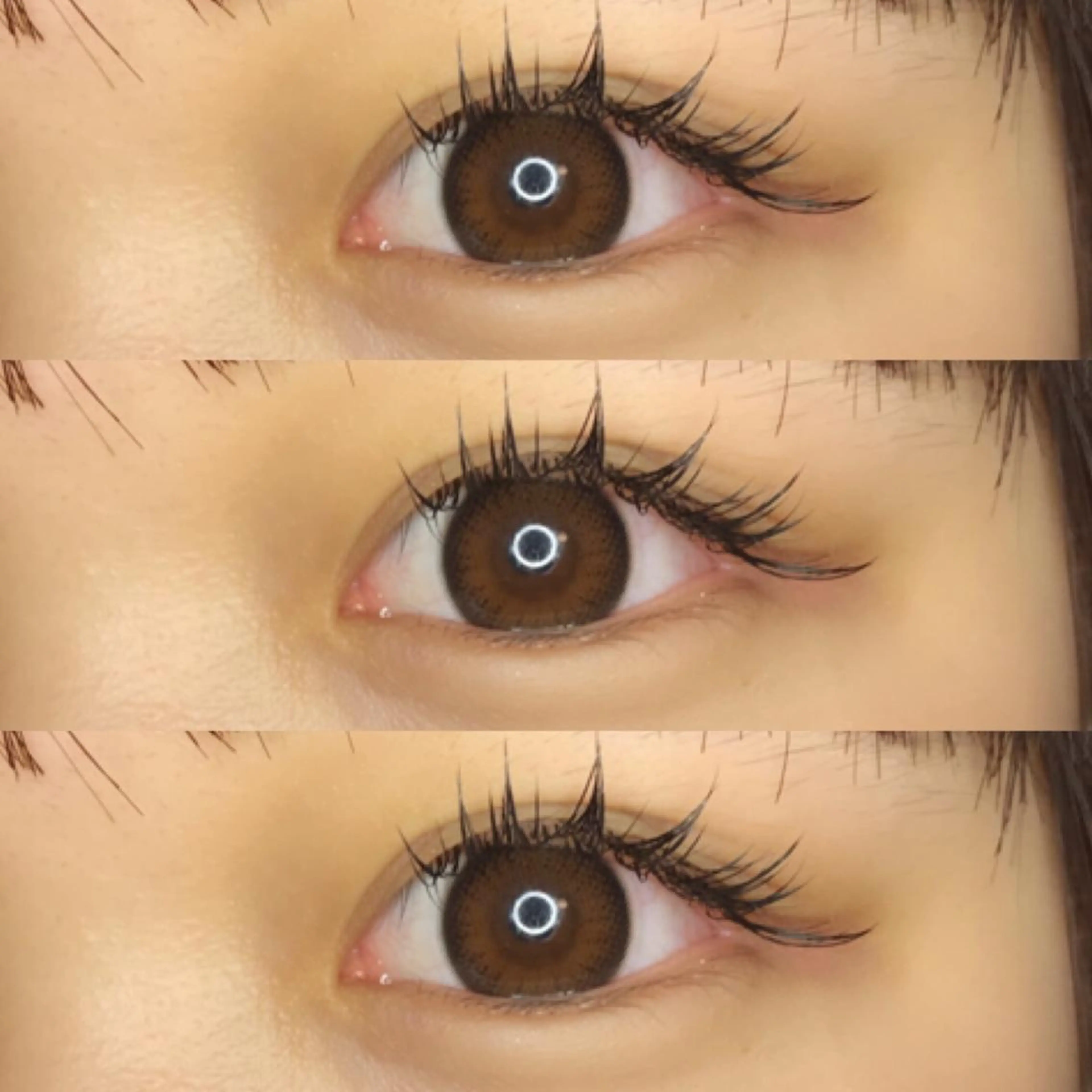 マツエク・マツパ 《eyelash ｉｉｔｅ》森のマツエク・マツパデザイン