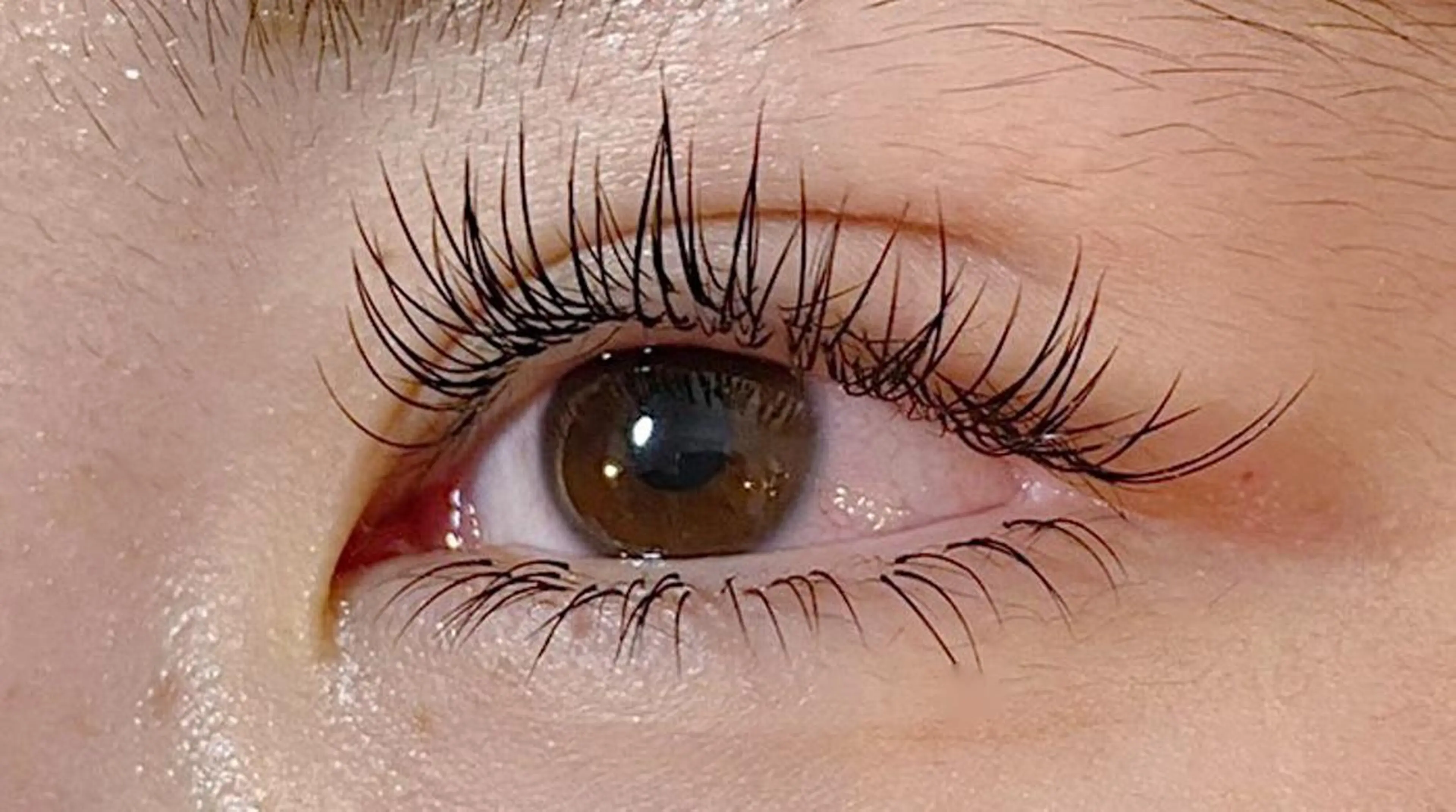 【上下付け放題】🌷フラットラッシュ⭐️8800円⭐️オフ、コーティング込み🍄の写真