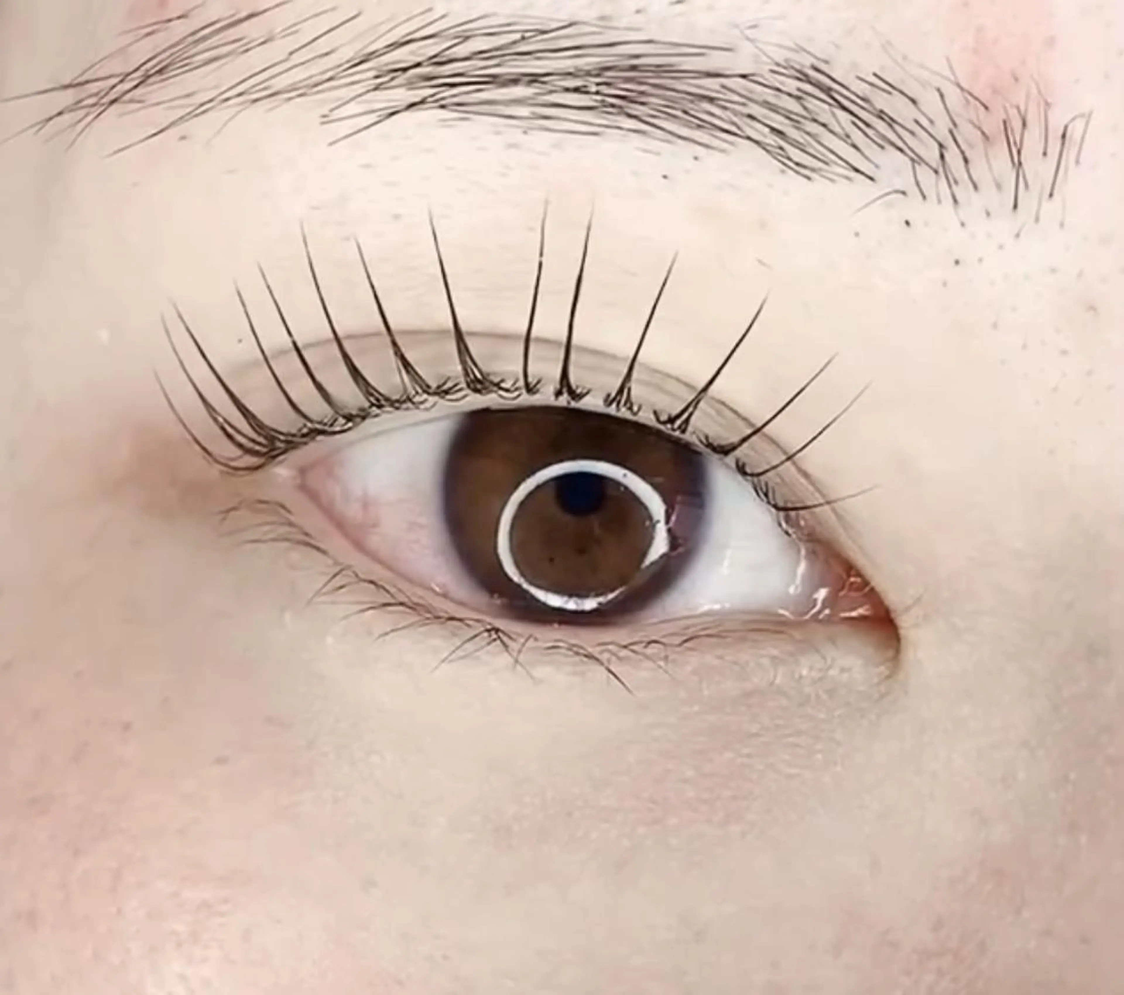 マツエク・マツパ マツパ 毛穴洗浄& 睫毛パーマ上野御徒町のマツエク・マツパデザイン