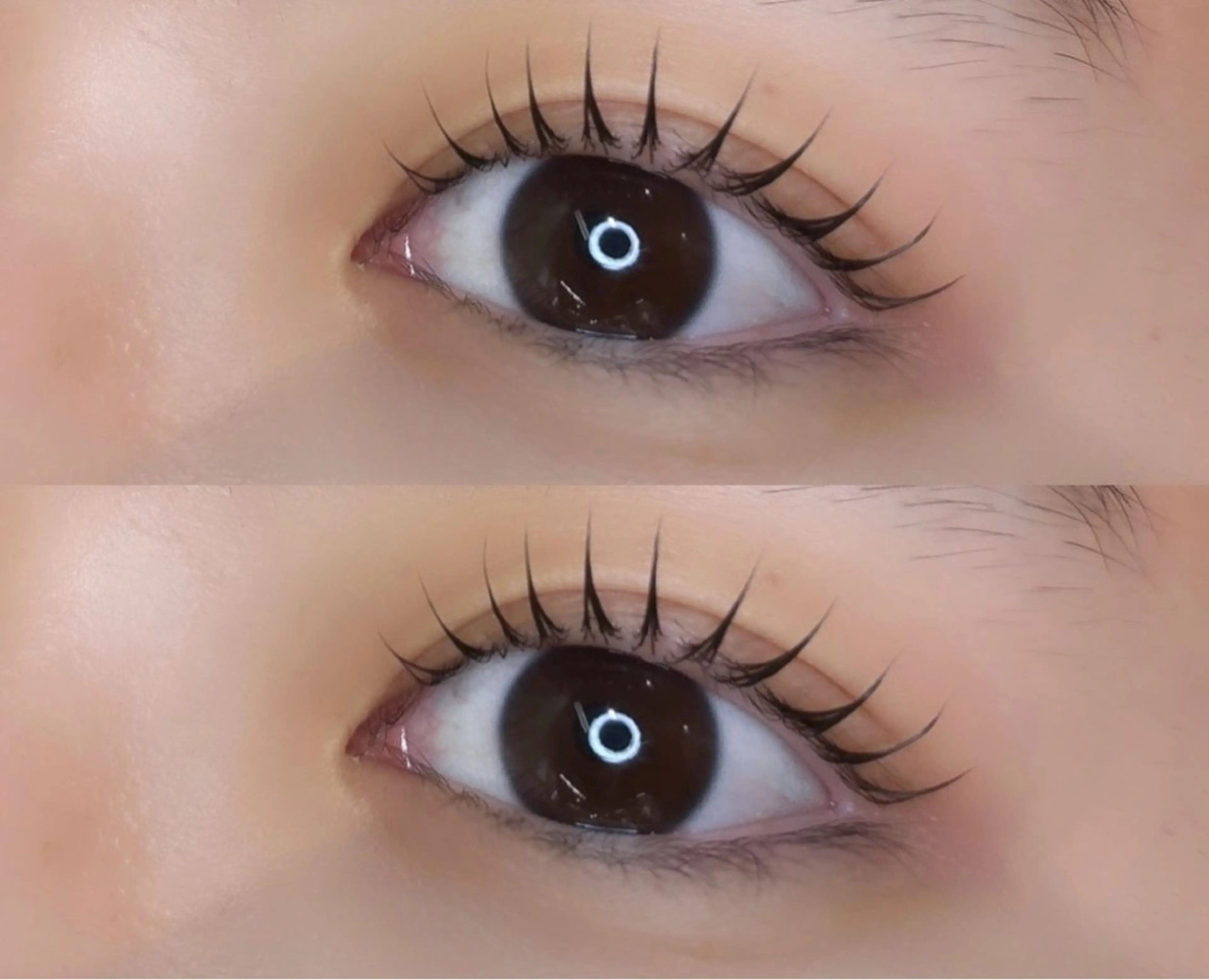 👑Ｎｏ.2👑まつげパーマ×眉毛WAXの写真