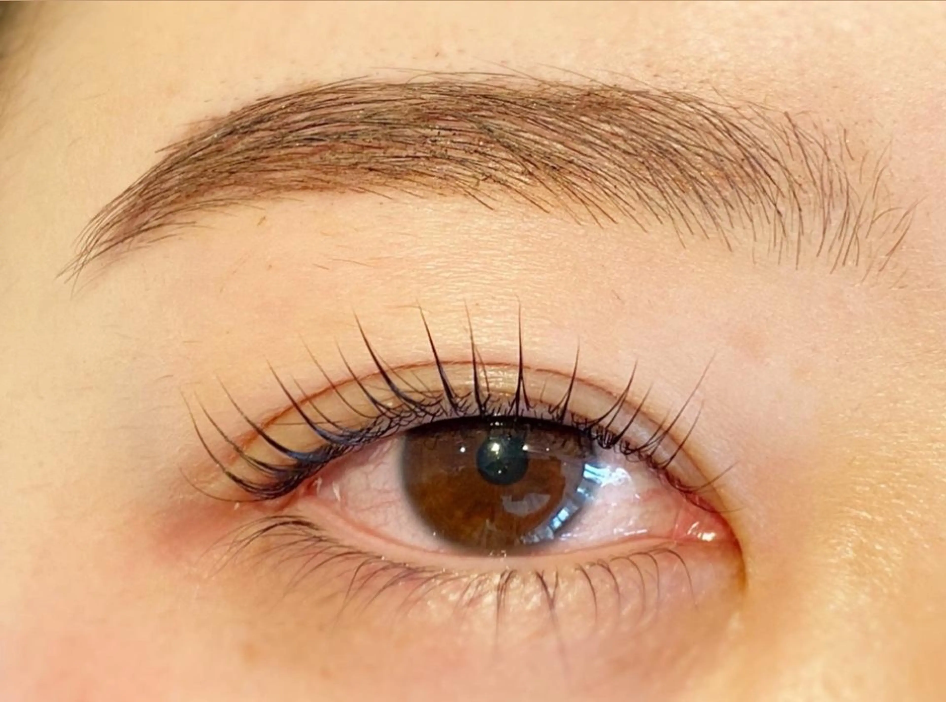 マツエク・マツパ Anela 🦋HARUMIの眉毛・アイブロウイメージ