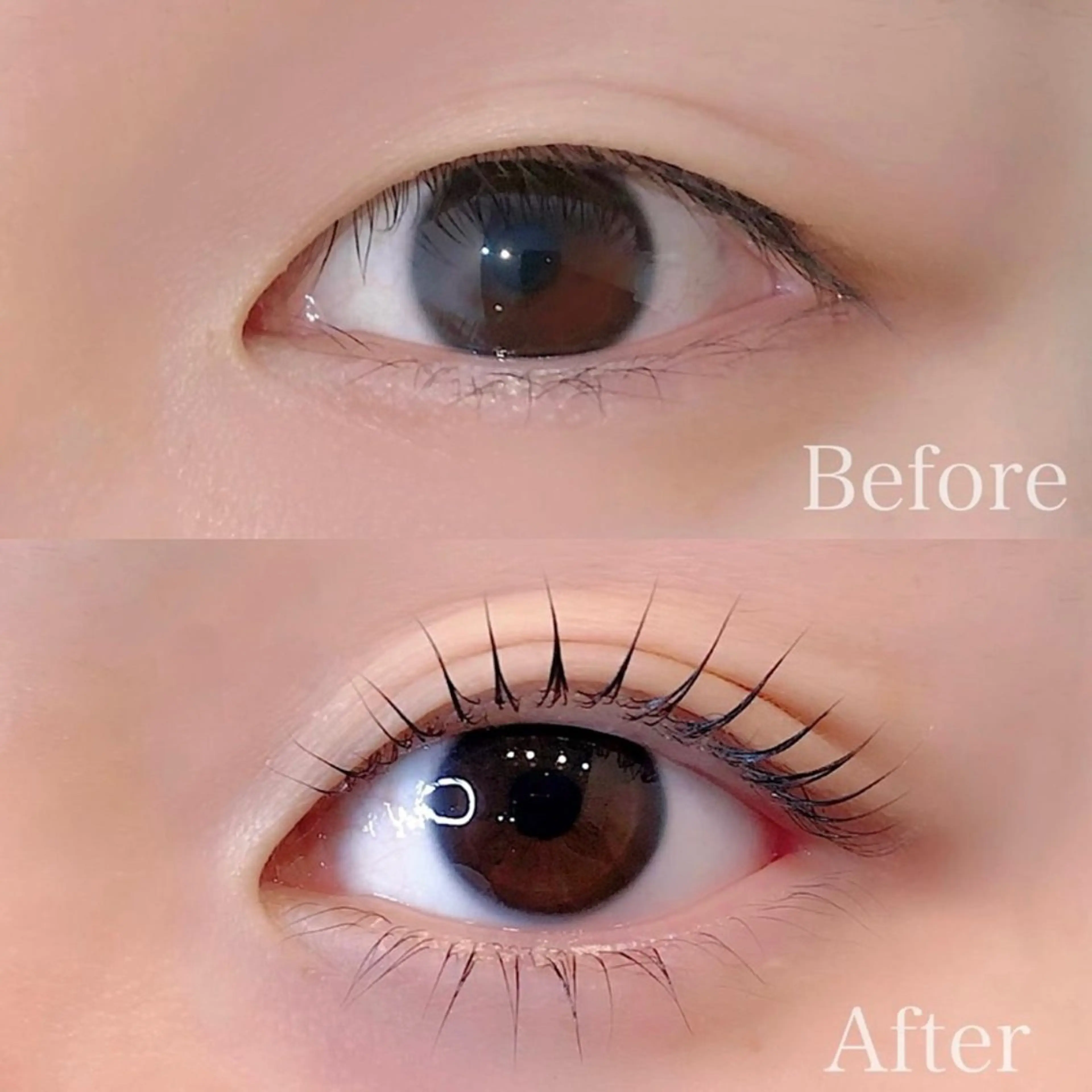 【minimo限定】パリジェンヌラッシュリフト上下/まつ毛パーマ¥10,450→¥9900の写真