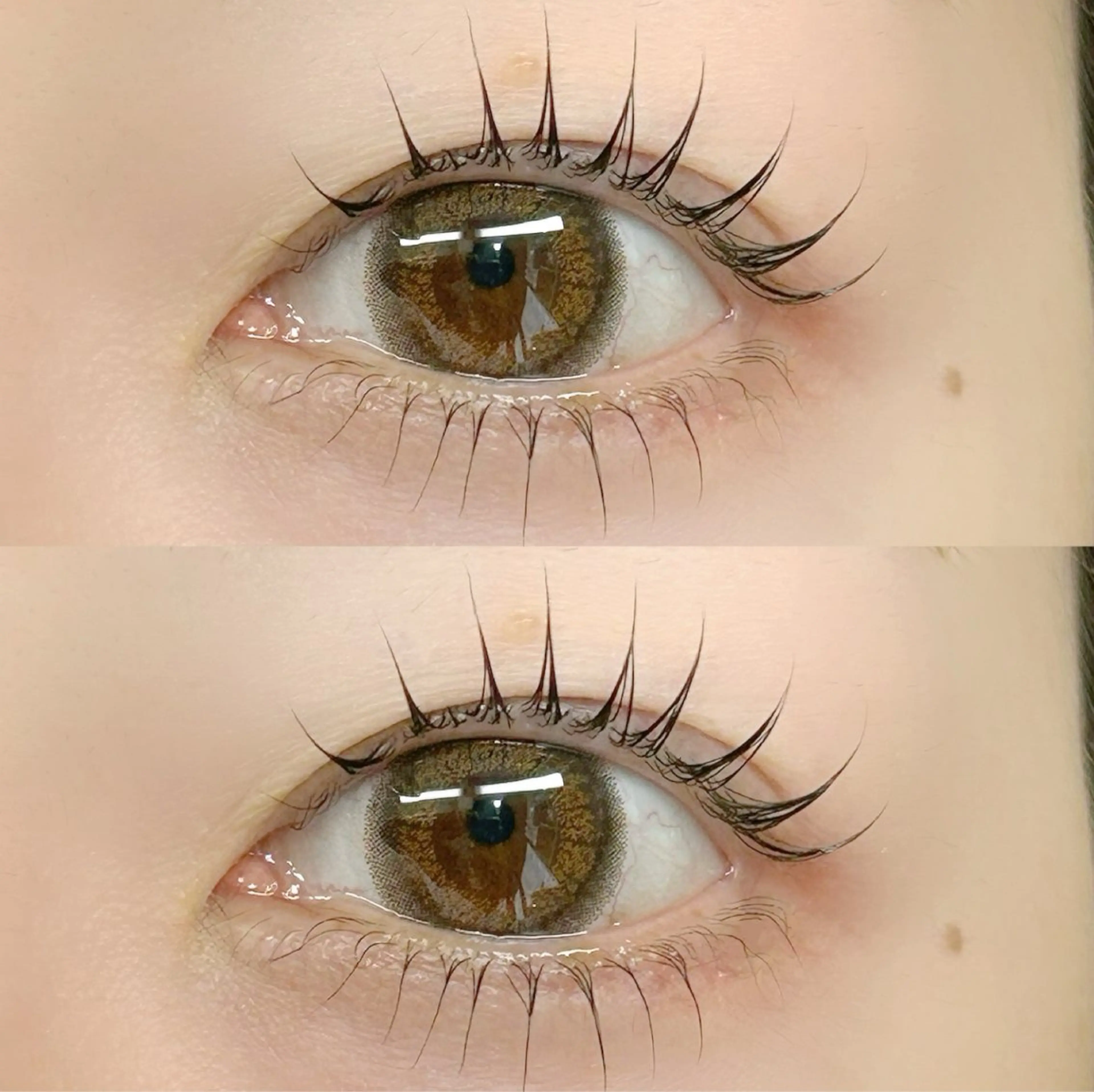 【当日予約限定★】上まつ毛パーマ➕コーティング付き🌷の写真