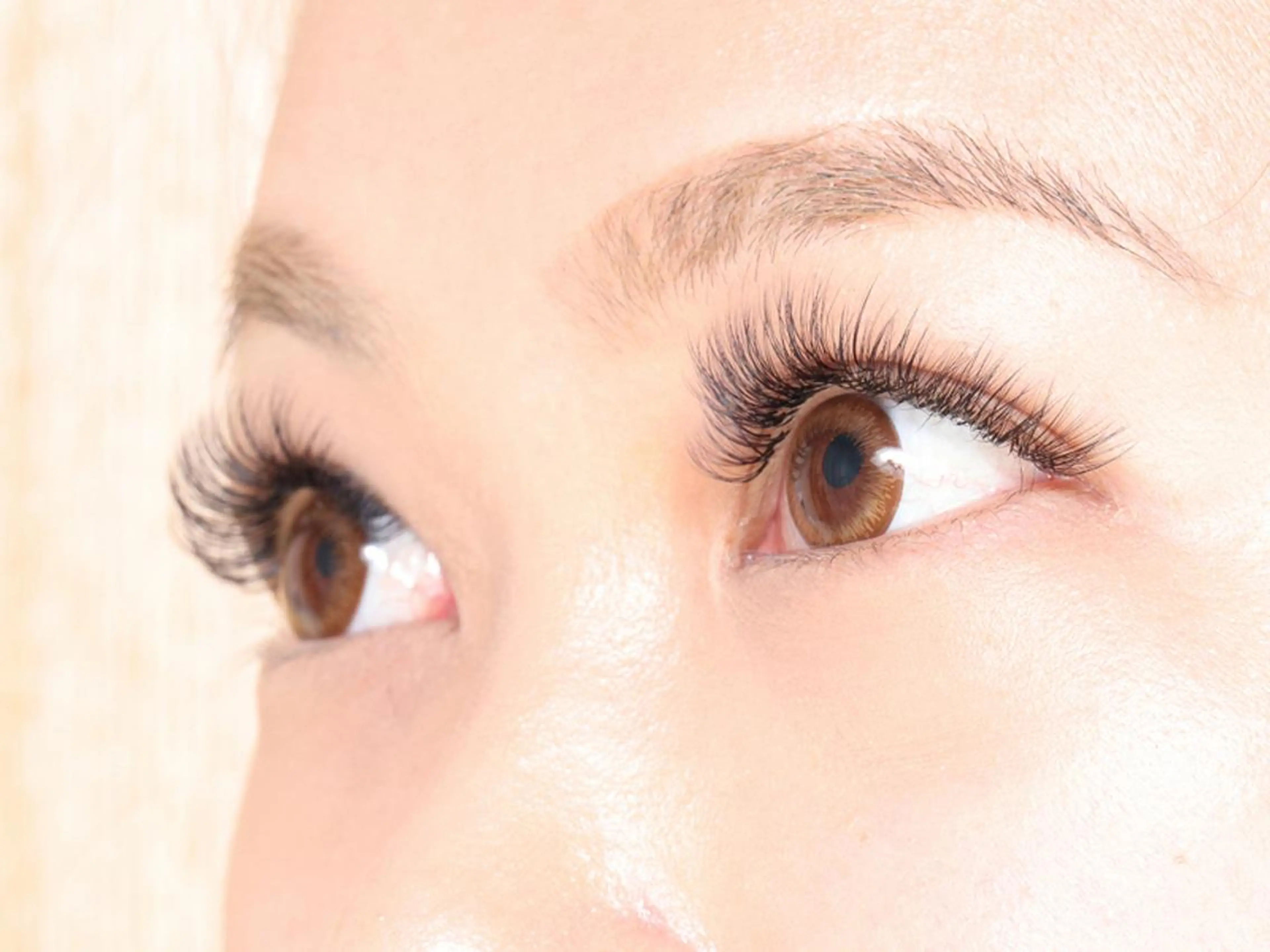 マツエク・マツパ まつげとまゆげ専門店 nonno.のマツエク・マツパデザイン