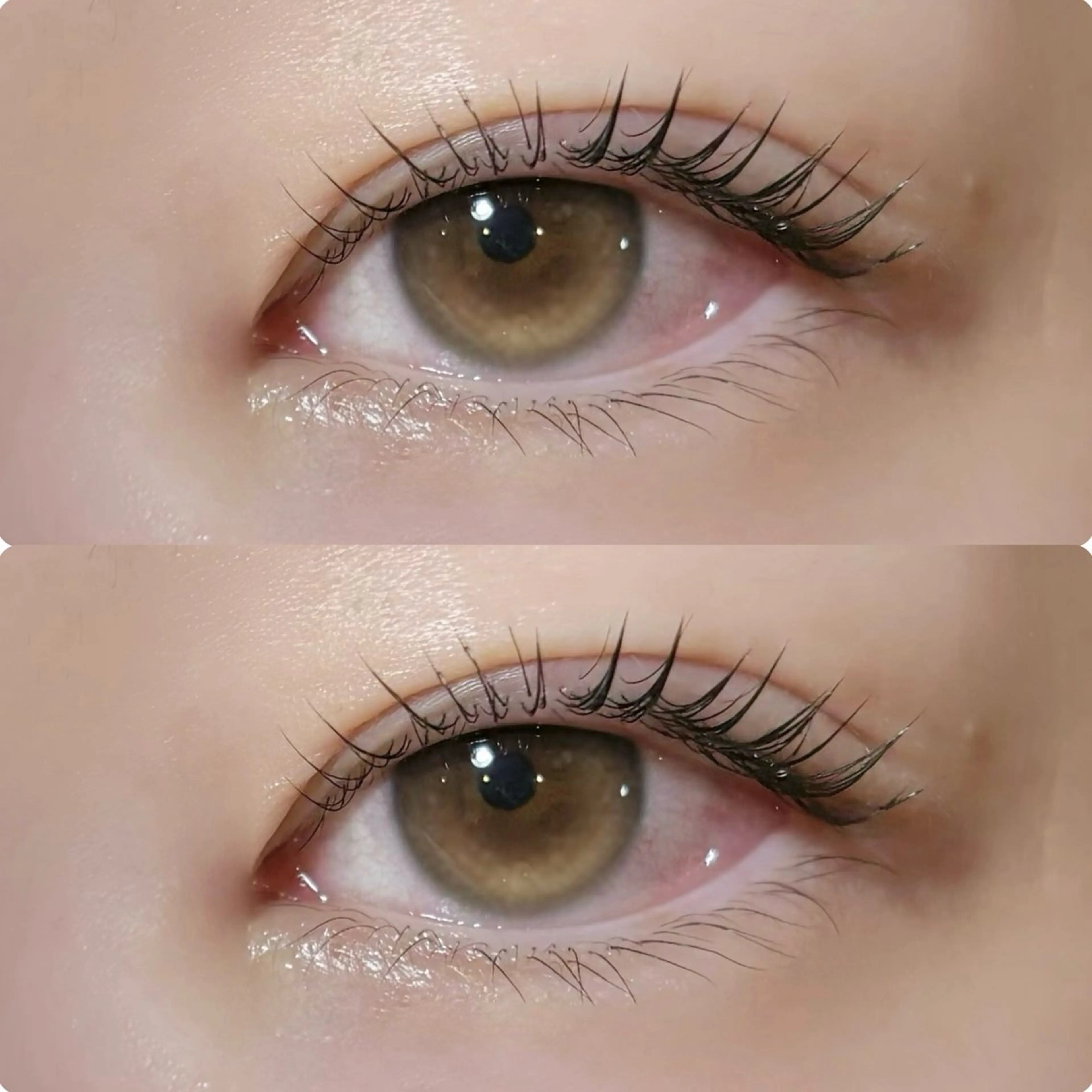 マツエク・マツパ meguru／マツパ ／マツエク／束感のマツエク・マツパデザイン