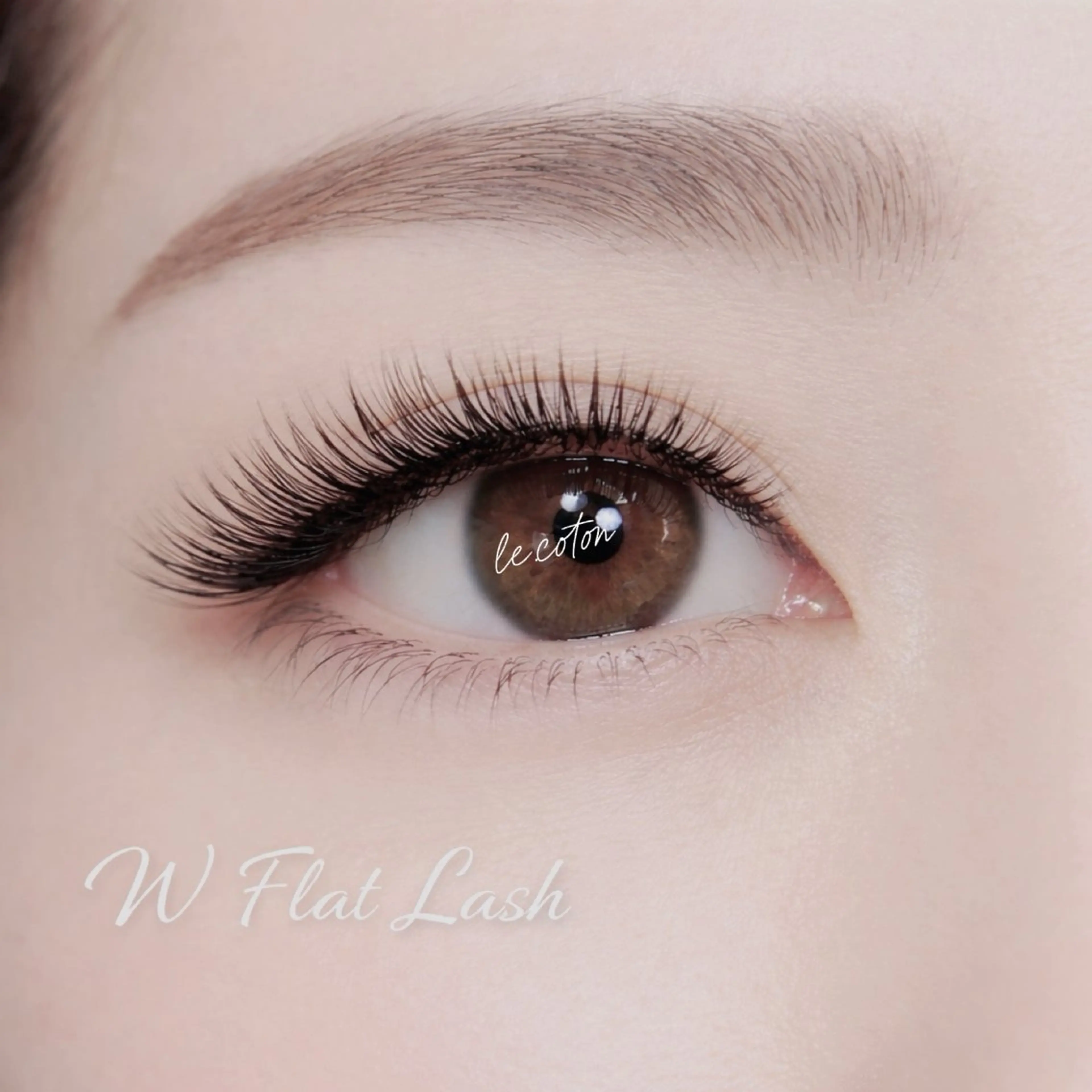 Wフラットラッシュ80束(オフ込)の写真