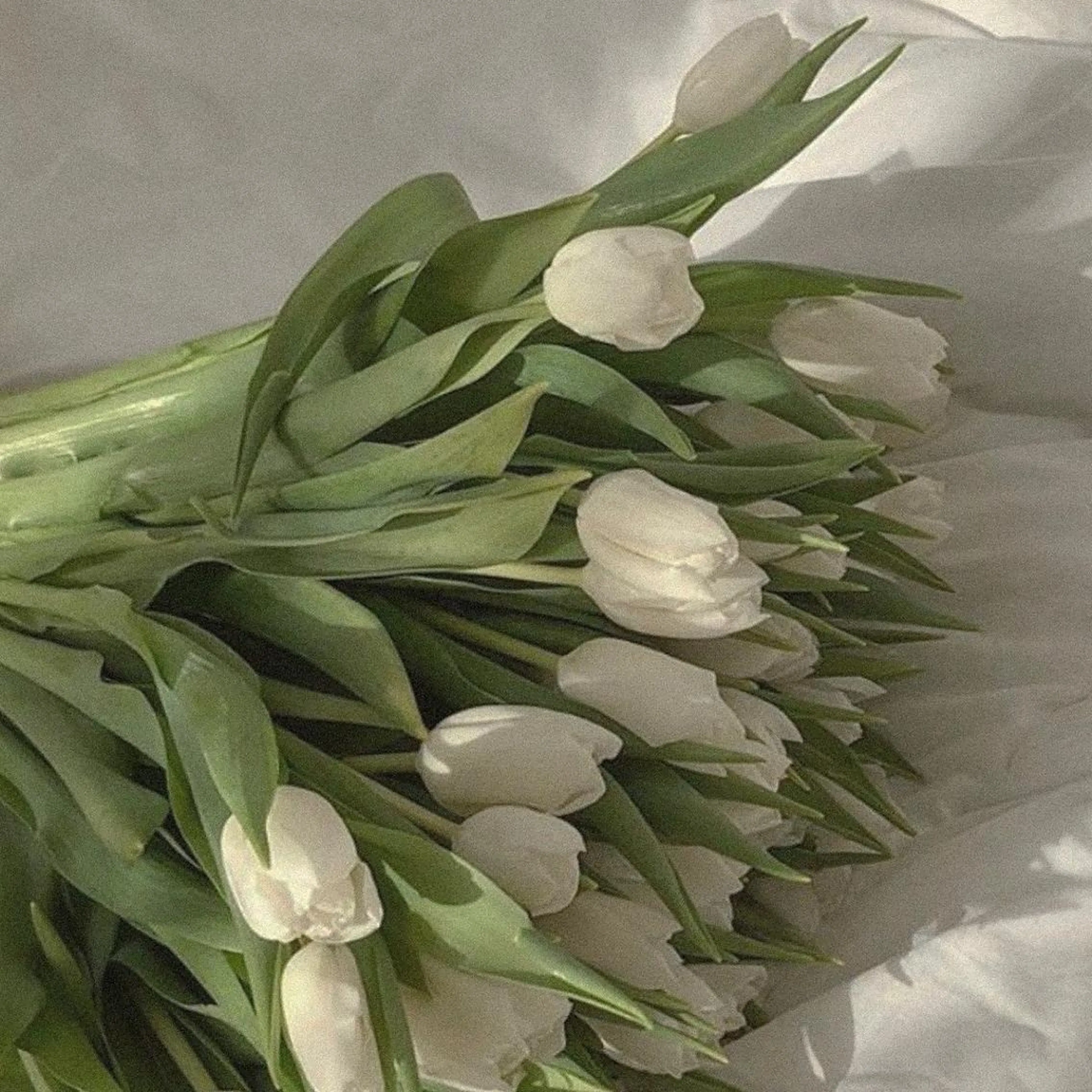 カット 縮毛矯正 トリートメント 抜け感ボブ×パーマ ｜kazaneのヘアスタイル