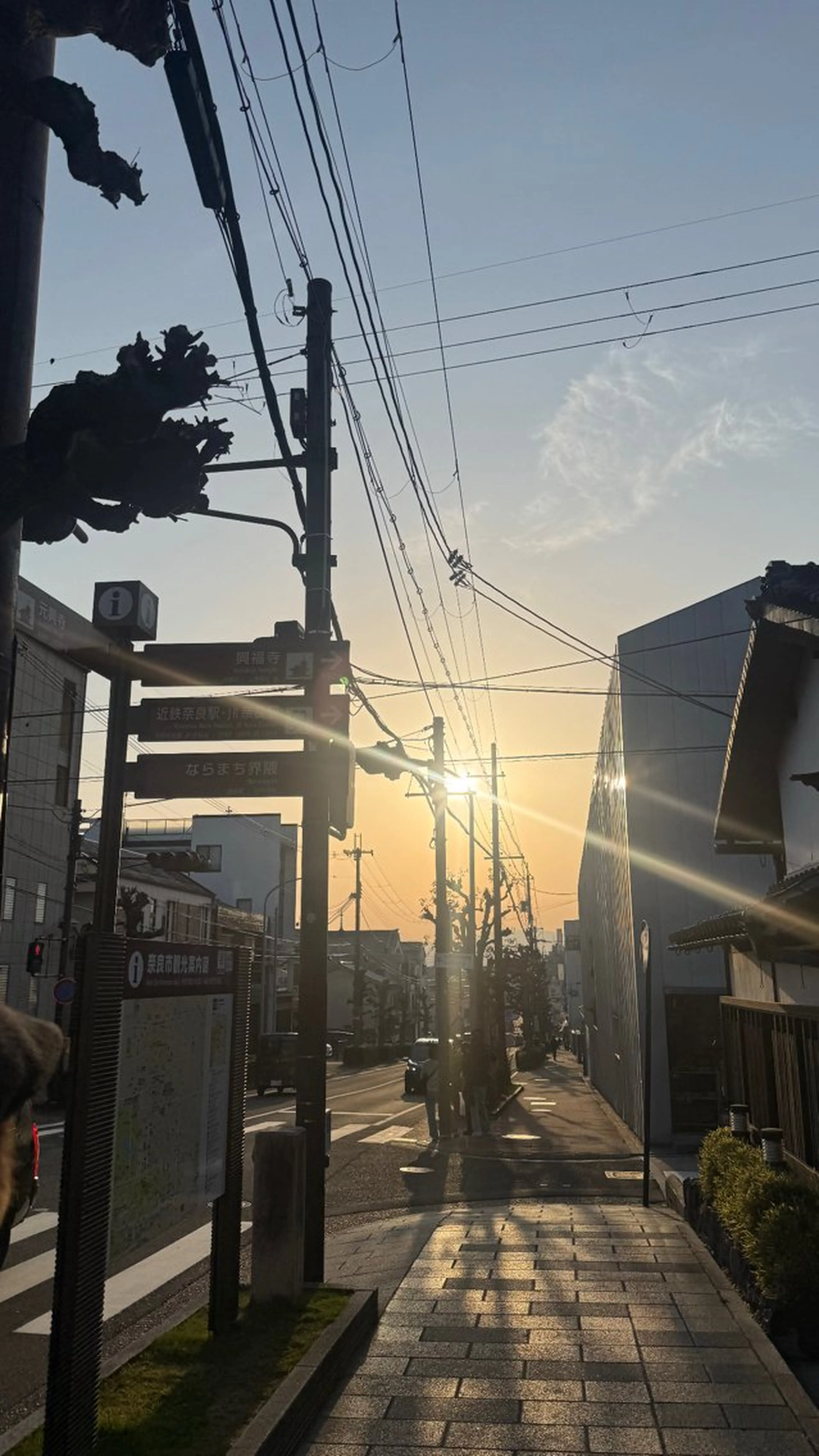 ネイル MITSUKI🪡 海外/個性派/ロングのネイルデザイン