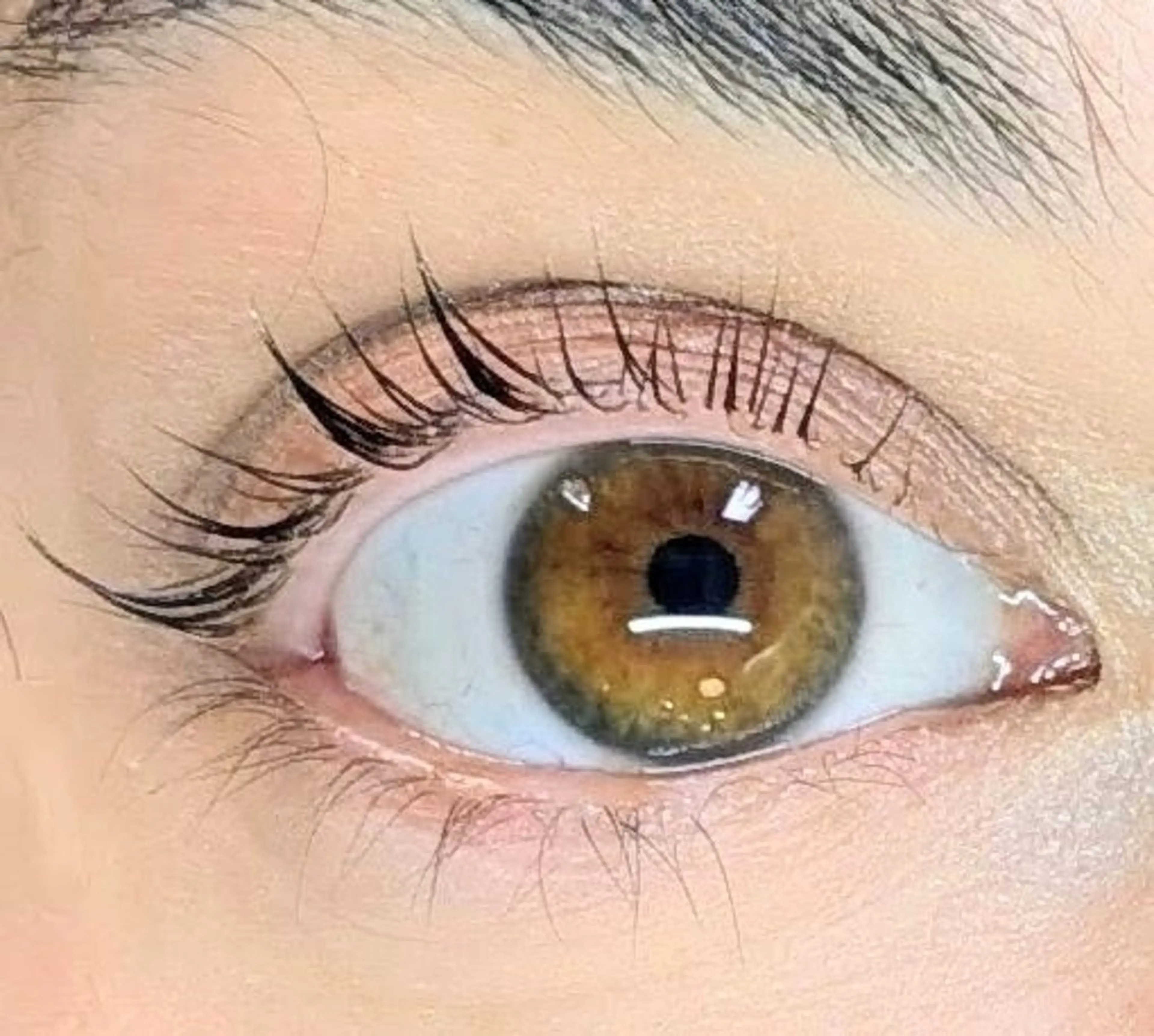 マツエク・マツパ まつげパーマ Sun Brown Ryu-gaのマツエク・マツパデザイン