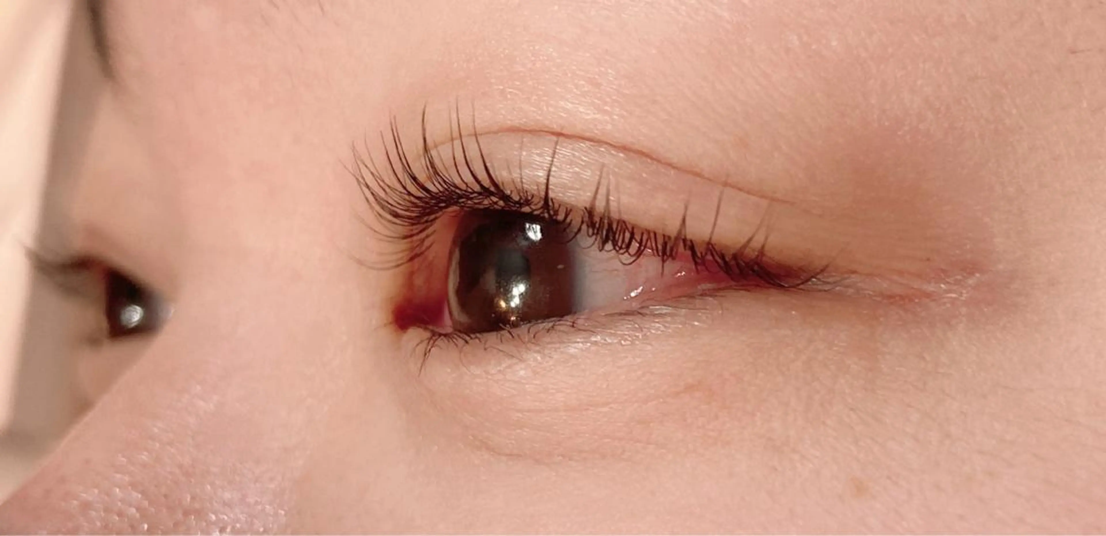 マツエク・マツパ ケラチンラッシュリフト .ula 𝑨𝒚𝒂𝒌𝒂のマツエク・マツパデザイン