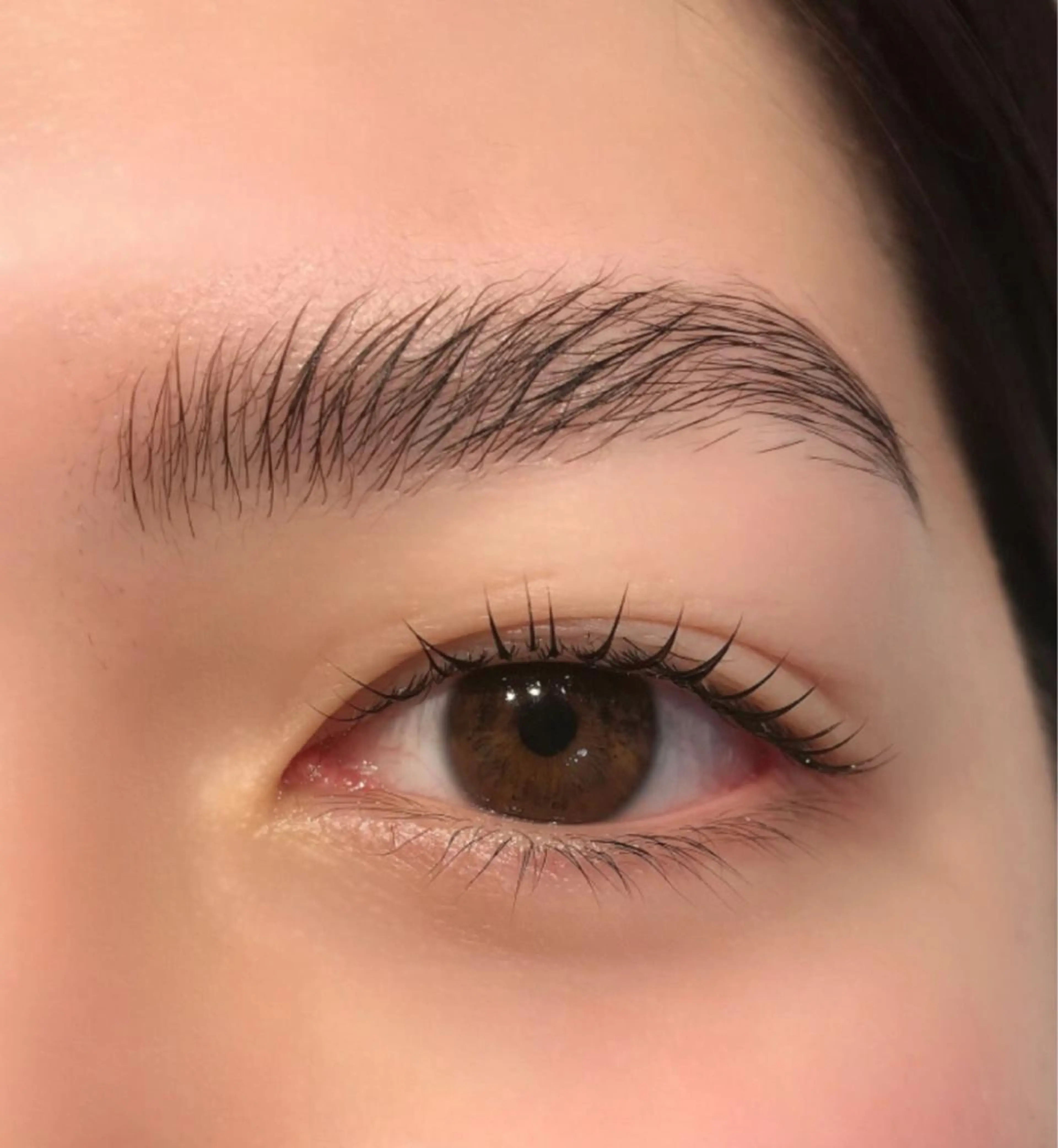 大人気✨リニューアル💜【NEWハリウッドブロウリフト】30分★ブラッシングで毎日バッチリ眉に👌の写真